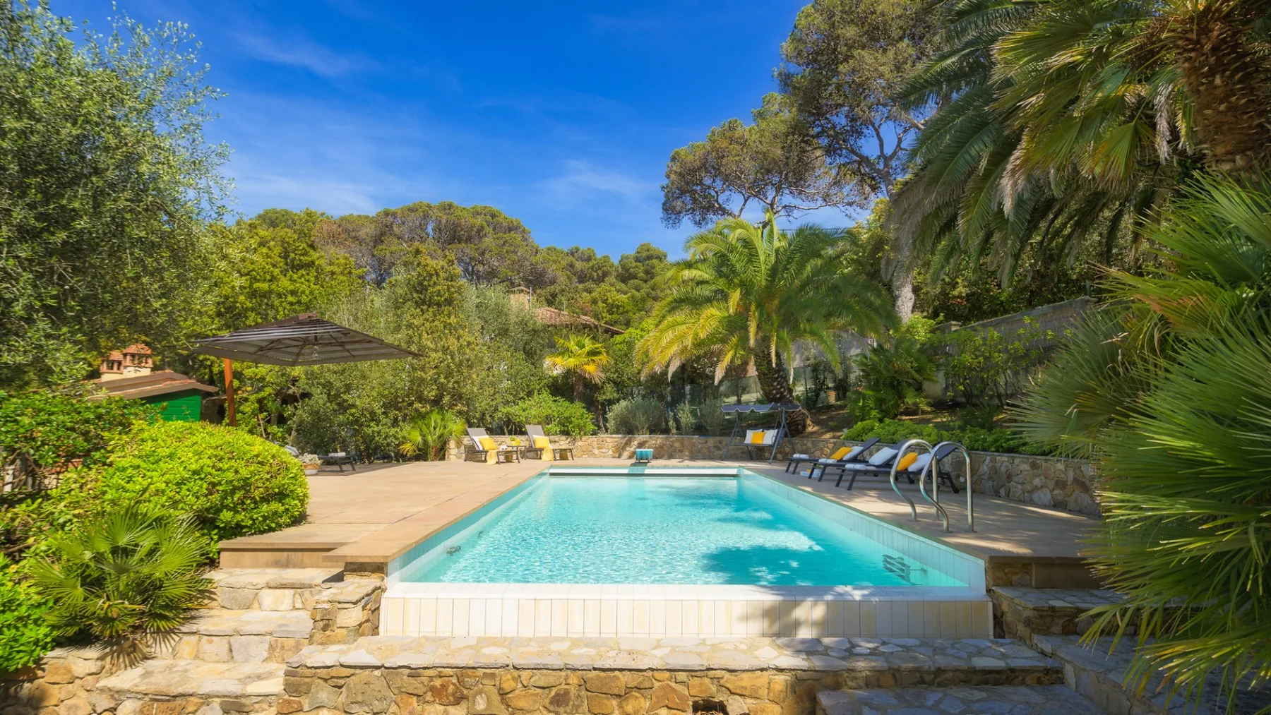 Una piscina al aire libre está rodeada de árboles frondosos y pavimento de piedra.