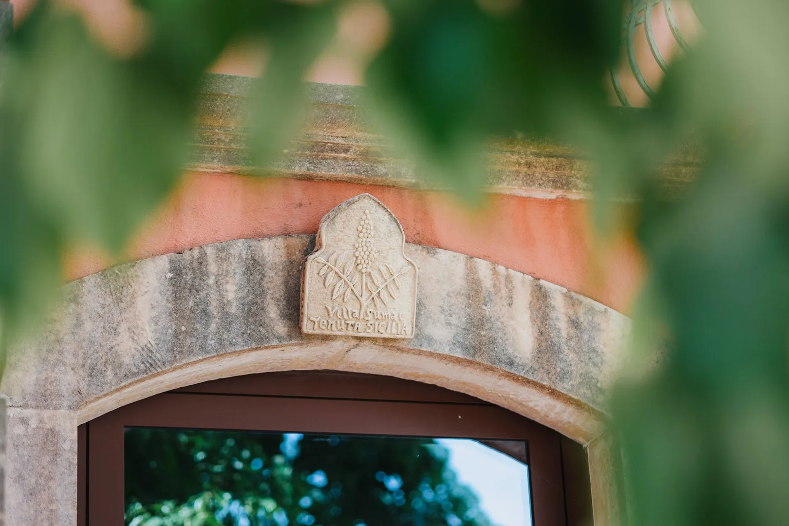 Una ventana arqueada con marco de piedra está parcialmente enmarcada por hojas verdes.