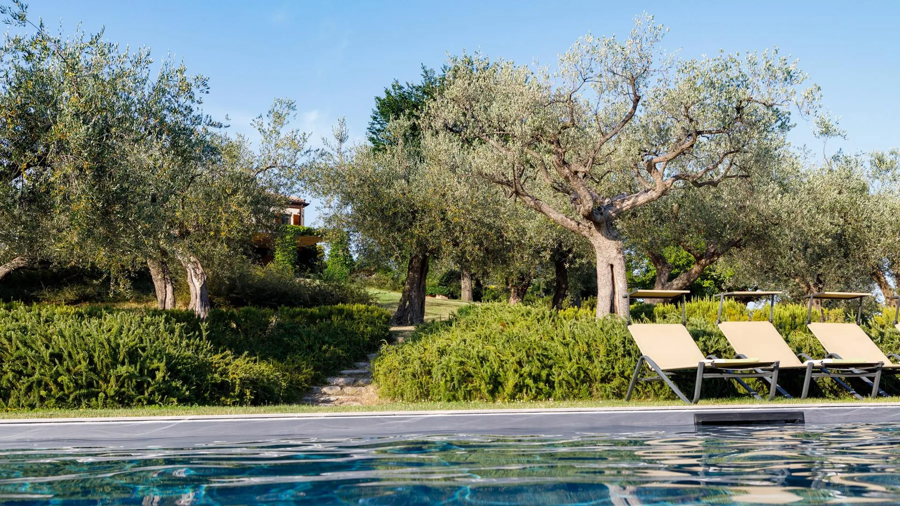 CASA EUGENIA 8 - Marche