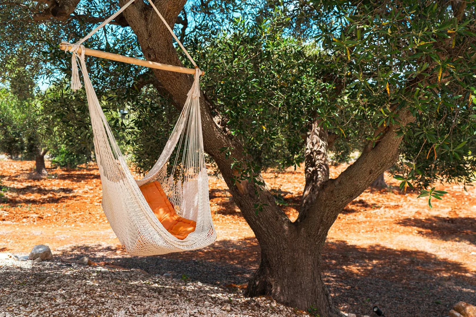 CASALE DI AMELI' 5 - Puglia