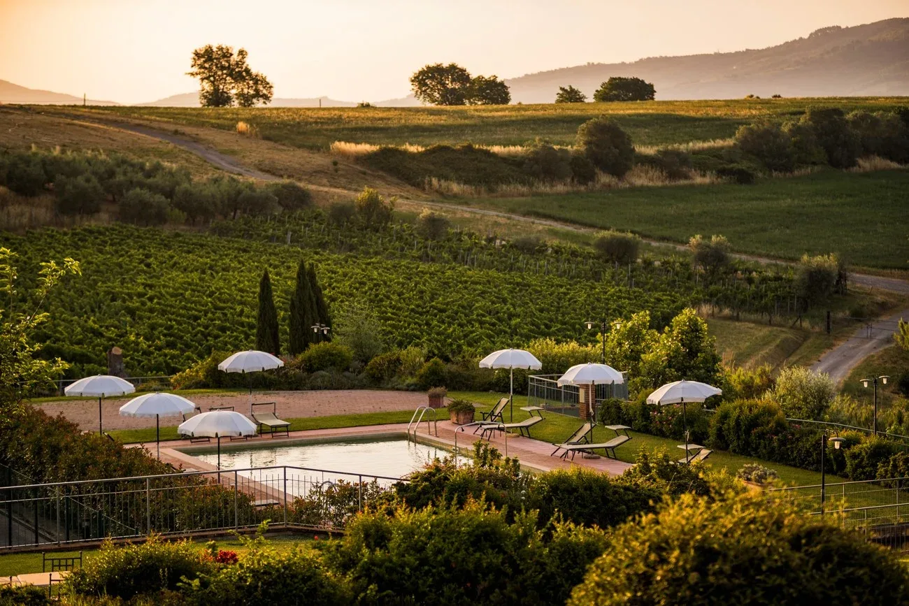 A swimming pool and shaded seating area sit beside rows of grapevines in rolling hills.