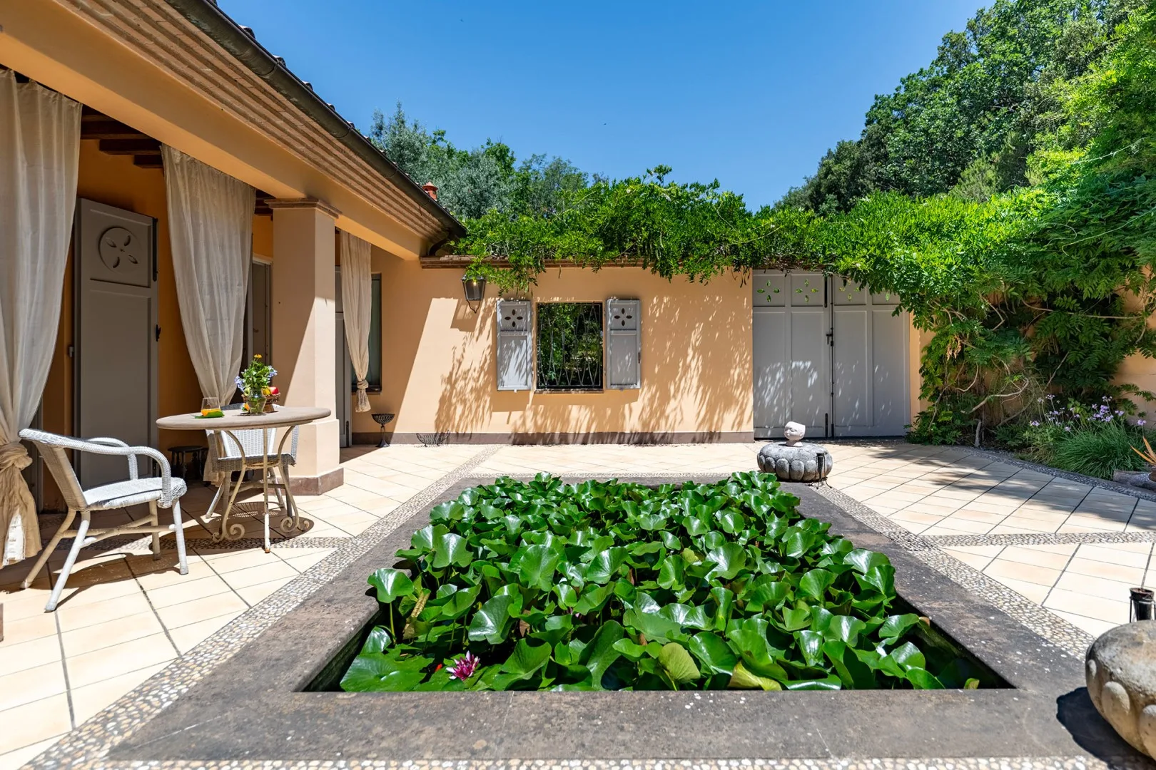 Un patio soleado cuenta con un estanque rectangular lleno de plantas acuáticas verdes.