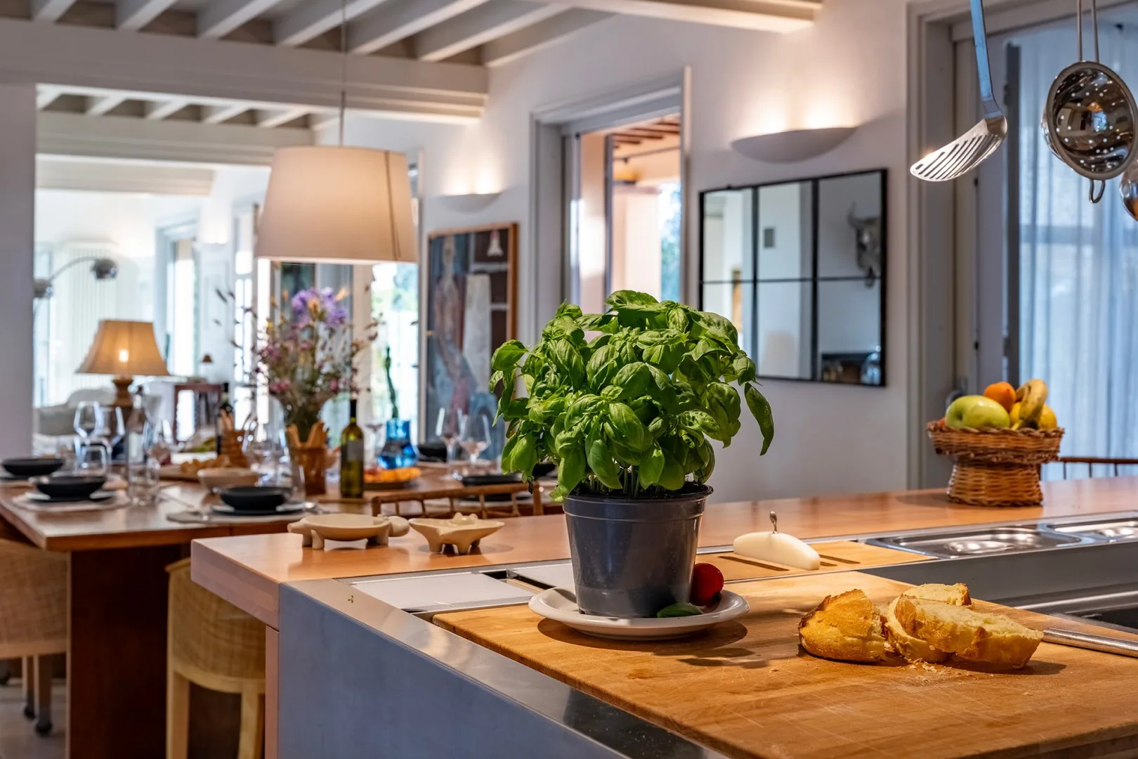 Una cocina luminosa con comedor y una planta frondosa en la encimera.