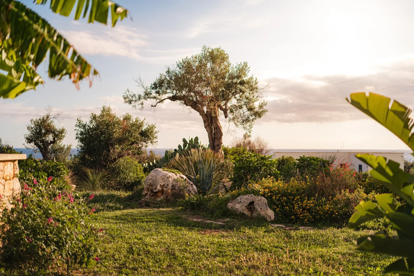 Un jardín paisajístico con un árbol central, arbustos en flor y rocas.