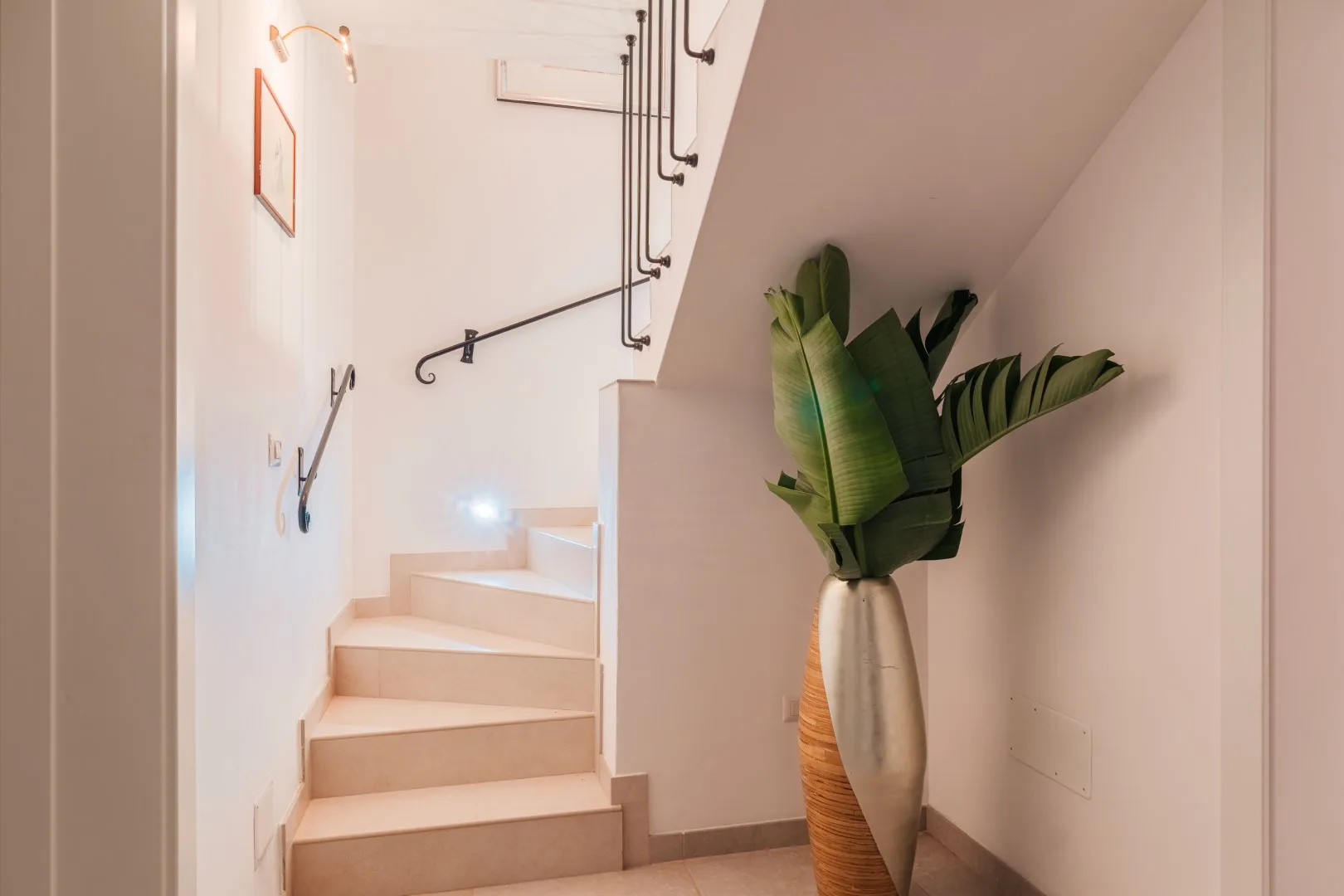 Una escalera interior luminosa con una planta alta en maceta junto a los escalones.