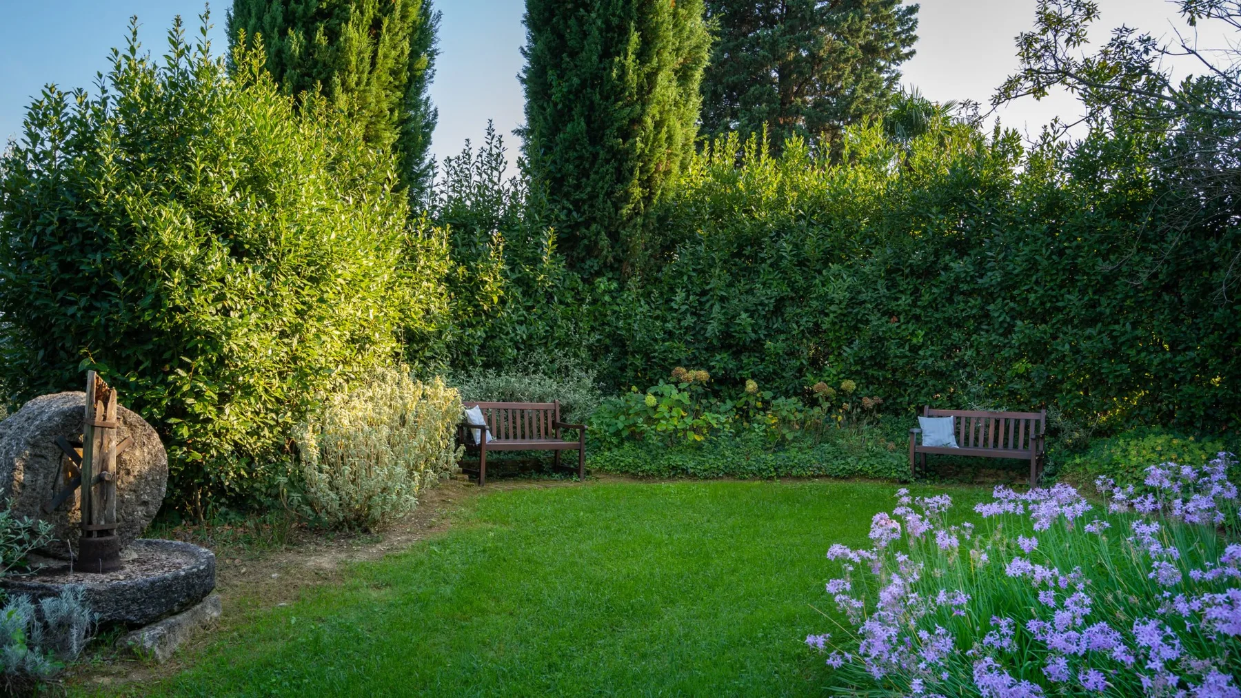 A garden lawn bordered by shrubs, with wooden benches and purple flowers.