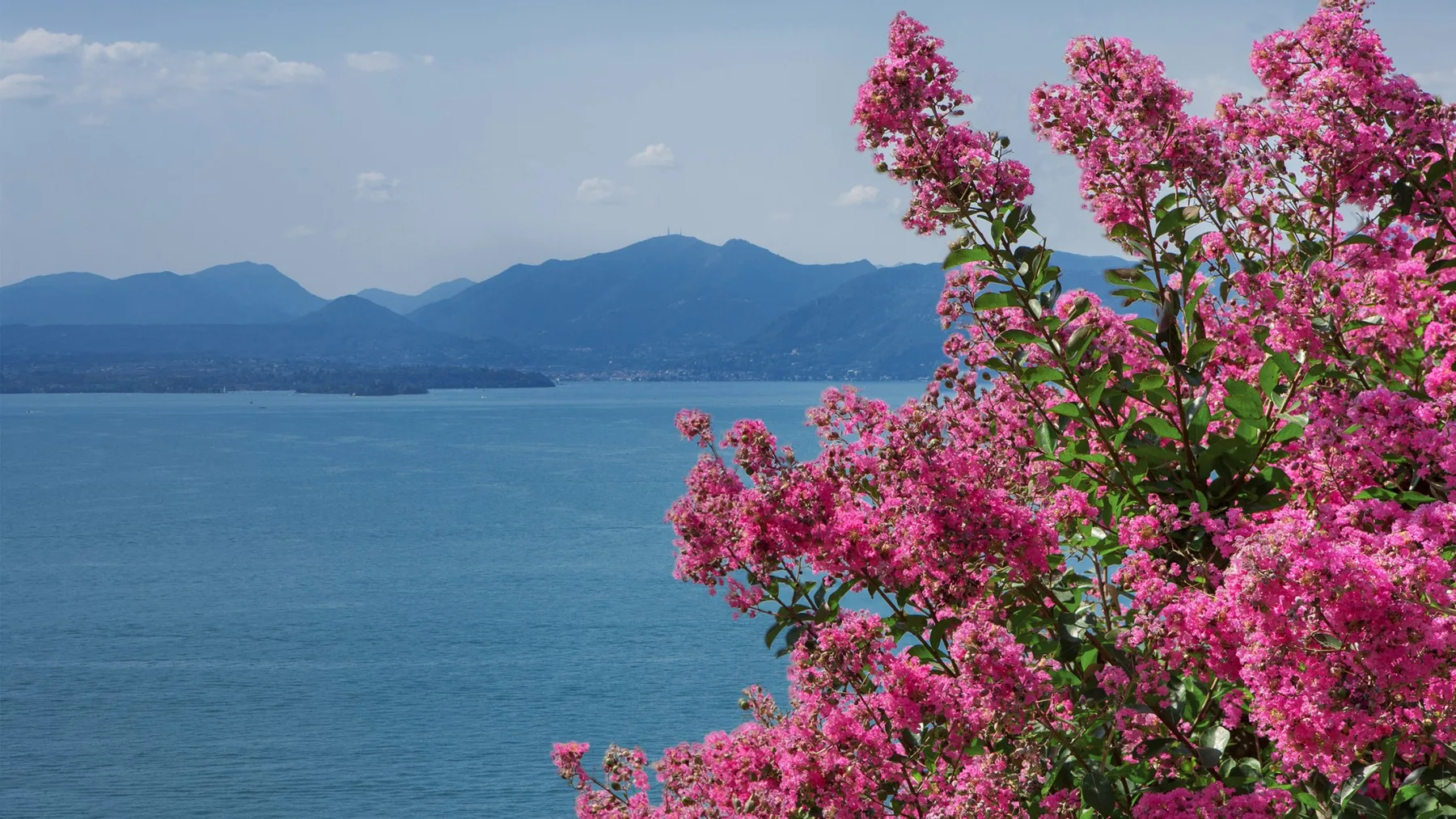 VILLA SYBILLE 8 - Veneto