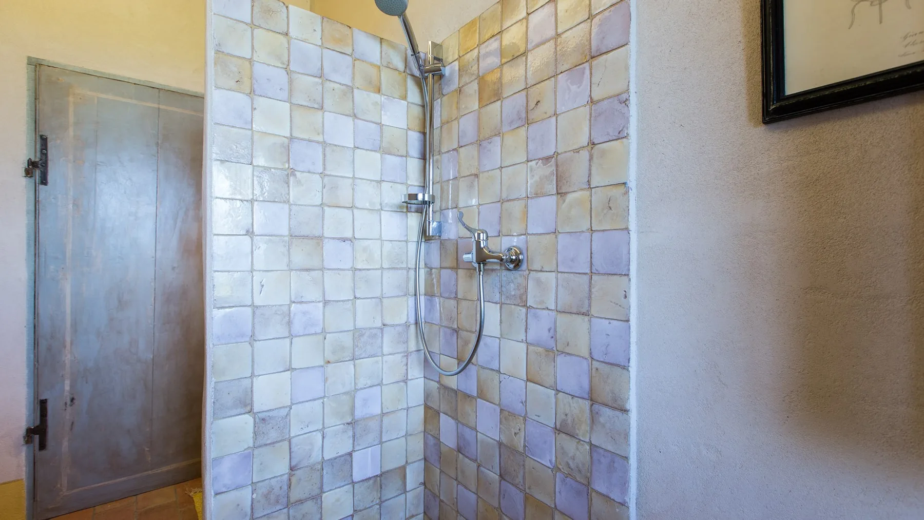A tiled shower area with a handheld showerhead beside a wooden door.