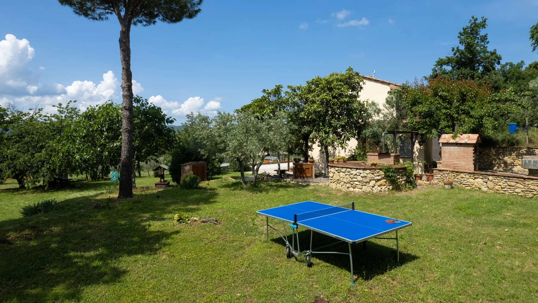 A grassy garden with a blue table tennis table and trees.