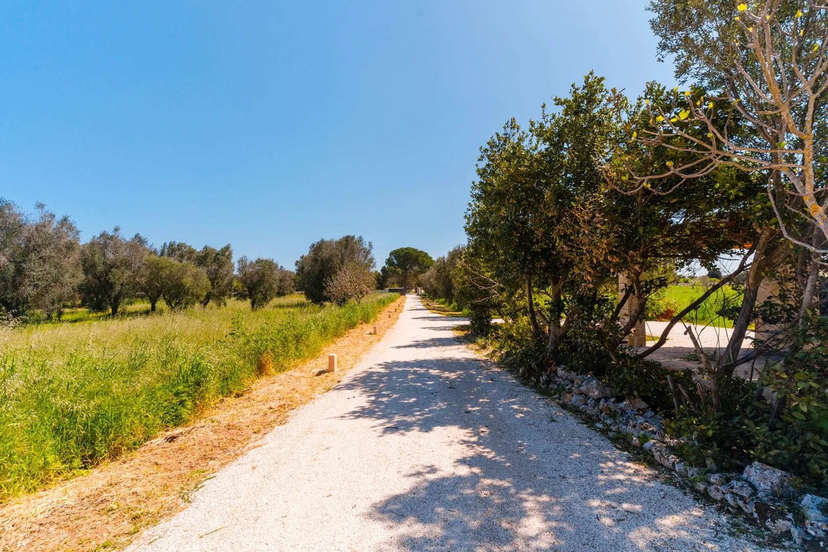 MASSERIA GROTTA ANTICA 6+2 - Puglia