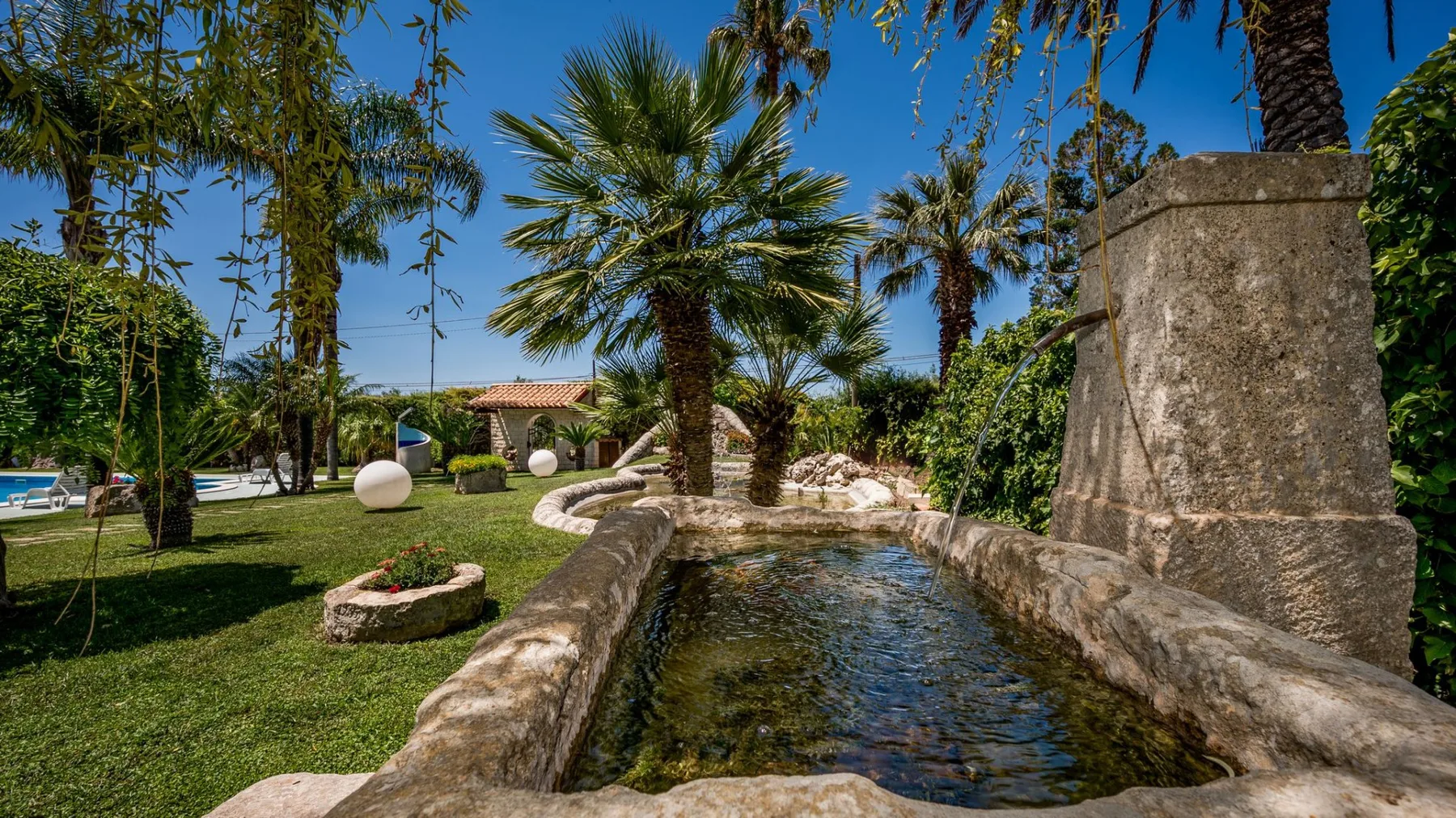 Un canal decorativo en el jardín junto a un césped y palmeras.
