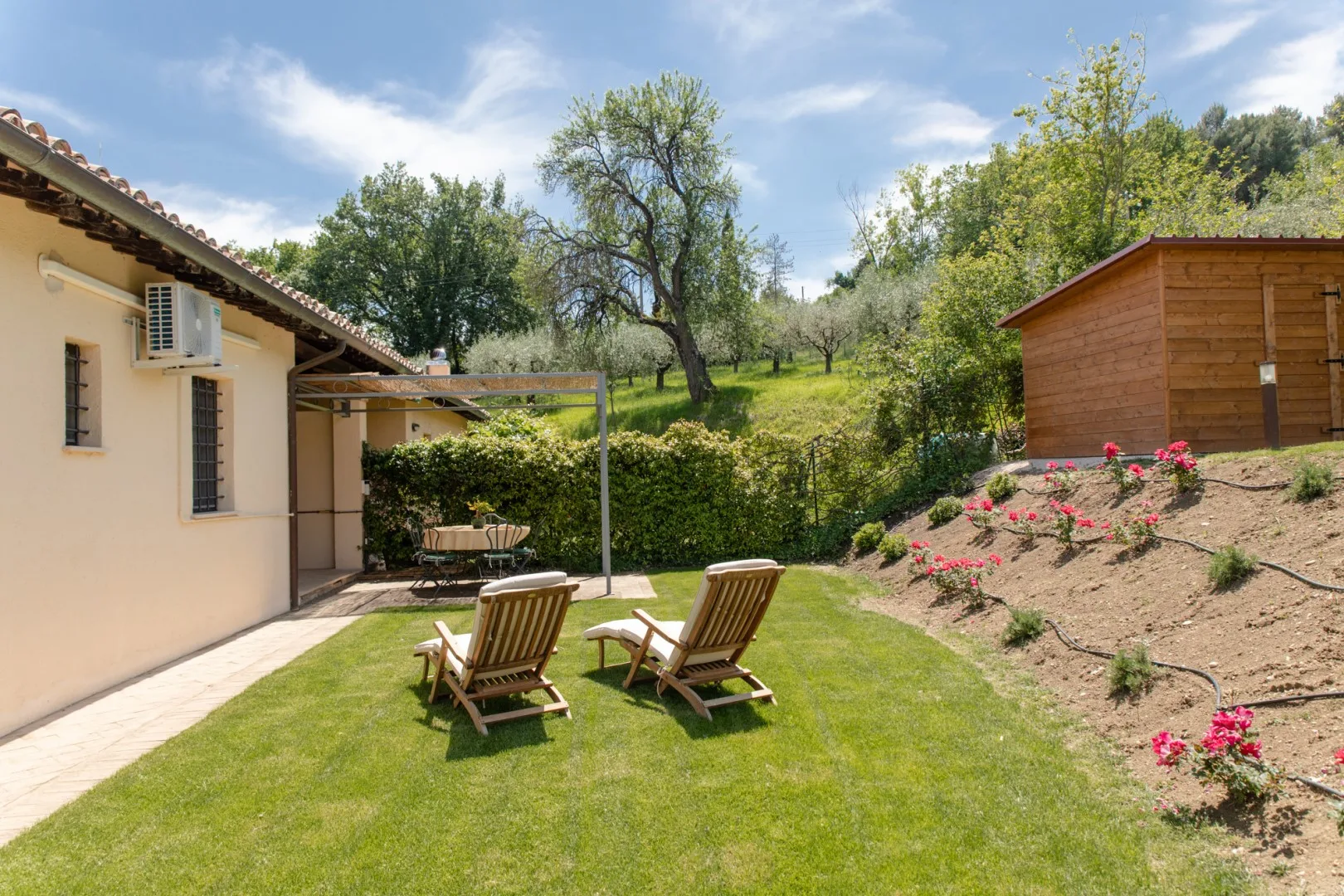 A grassy garden beside a house, with two wooden loungers and a small shed.