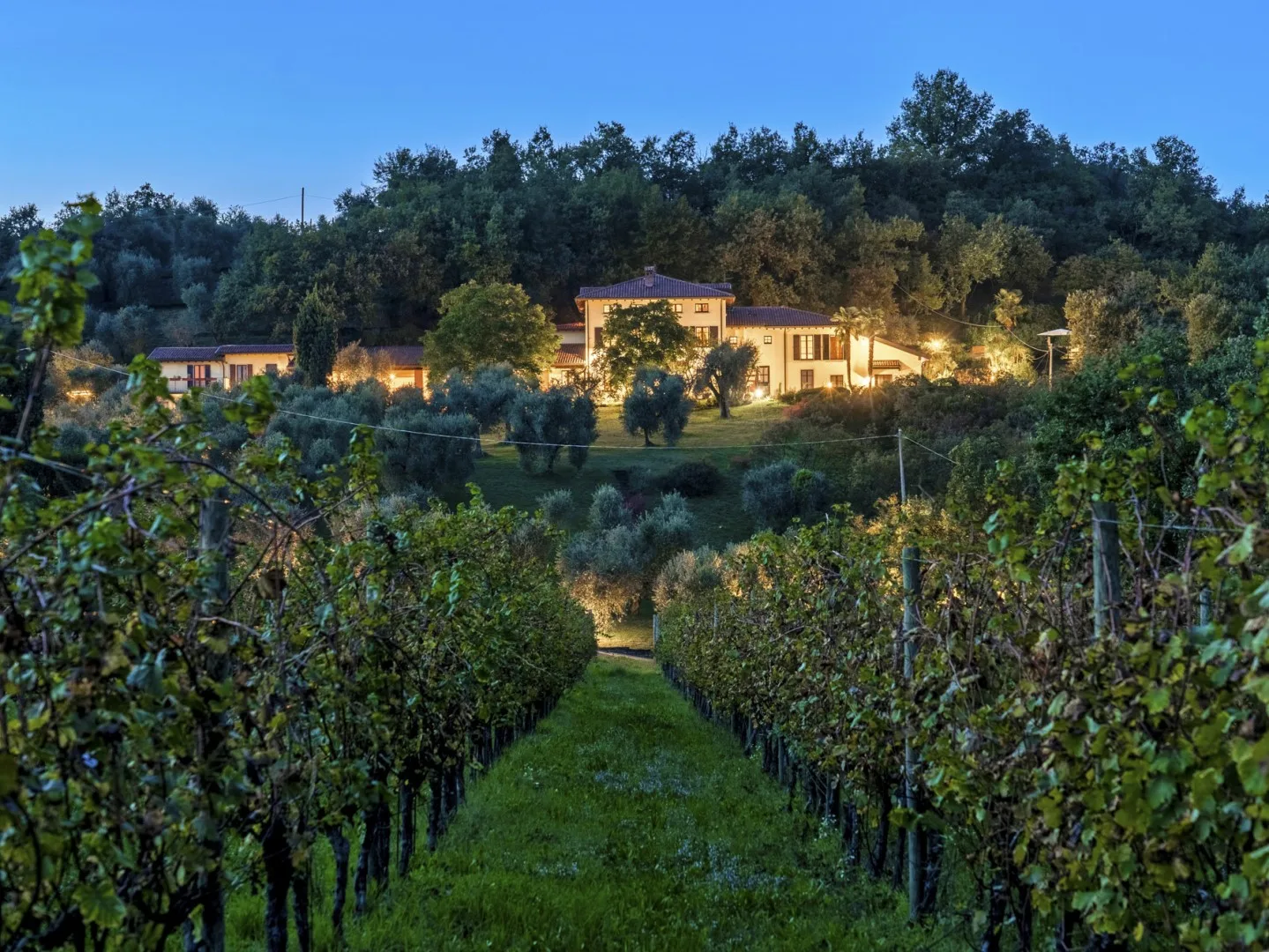 TENUTA NAVELLI 12+2 - Lombardy