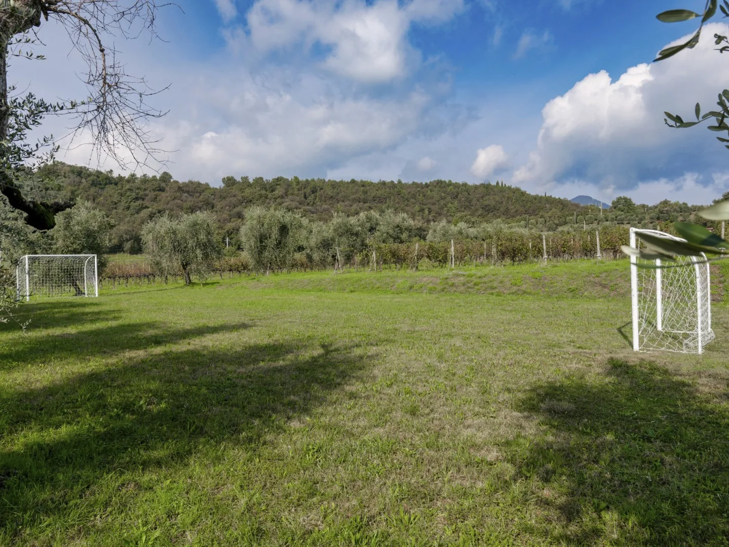 TENUTA NAVELLI 12+2 - Lombardy