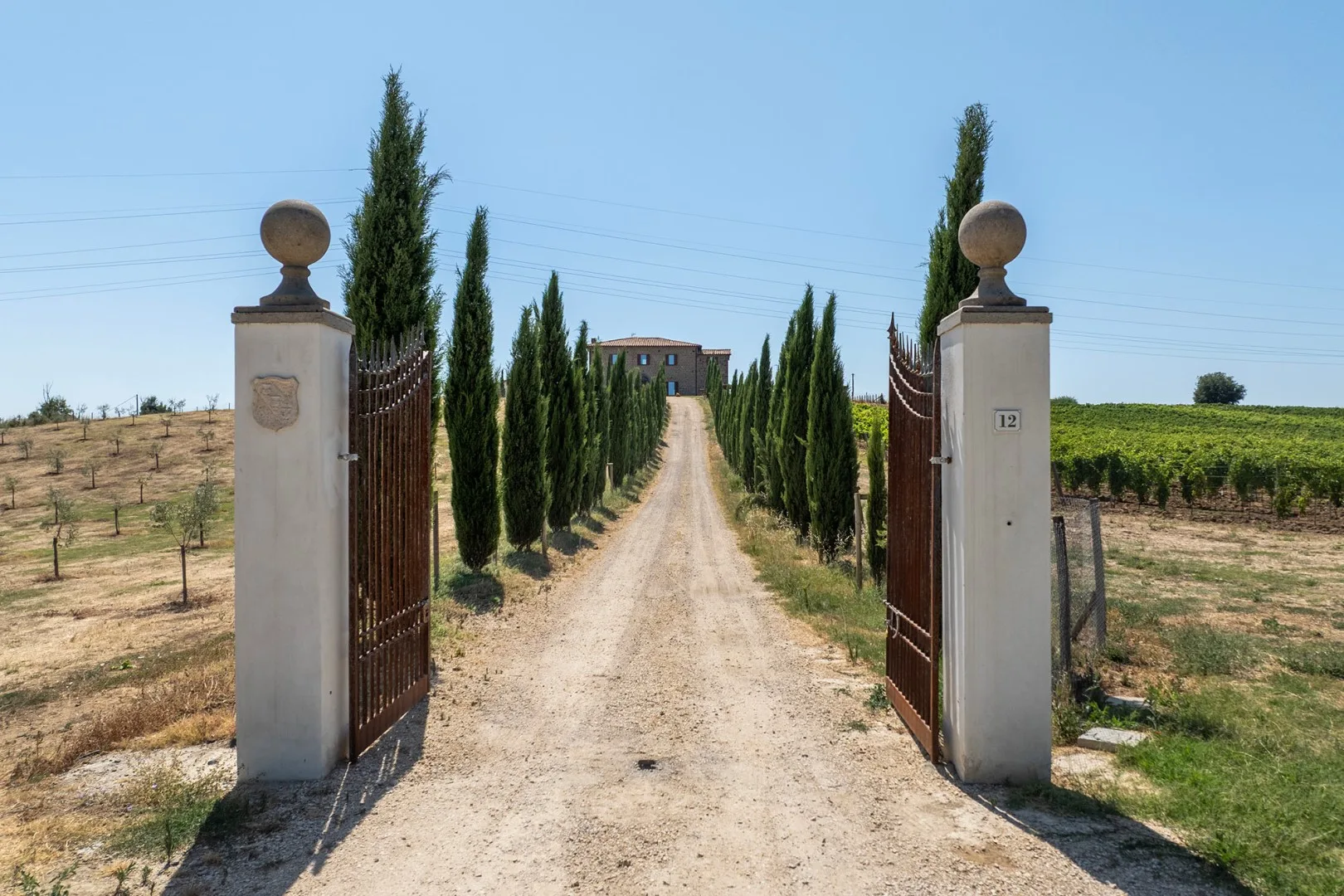 TENUTA ORSINI 9+3 - Lazio