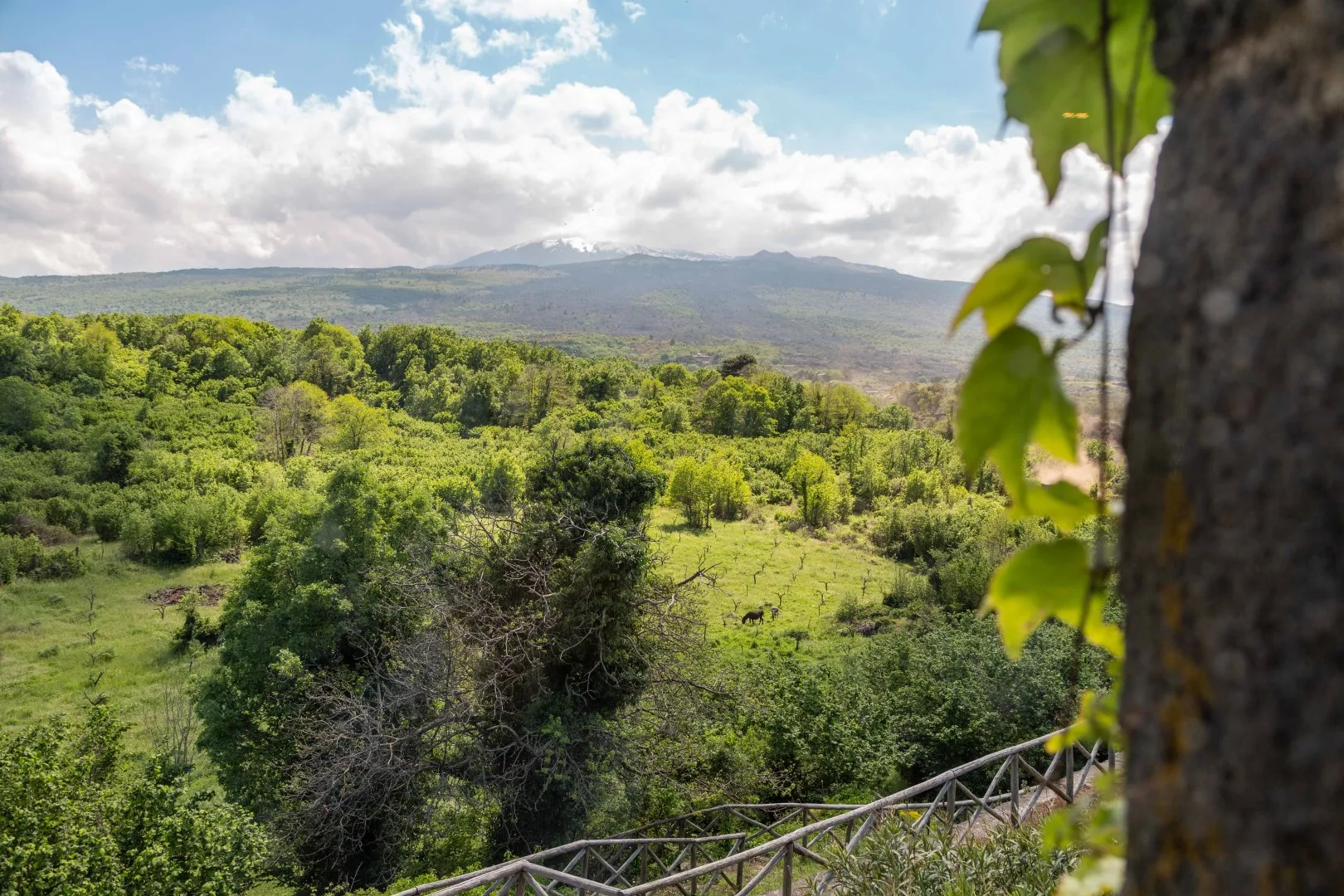 VILLA TERRE NORMANNE 16 - Sicily