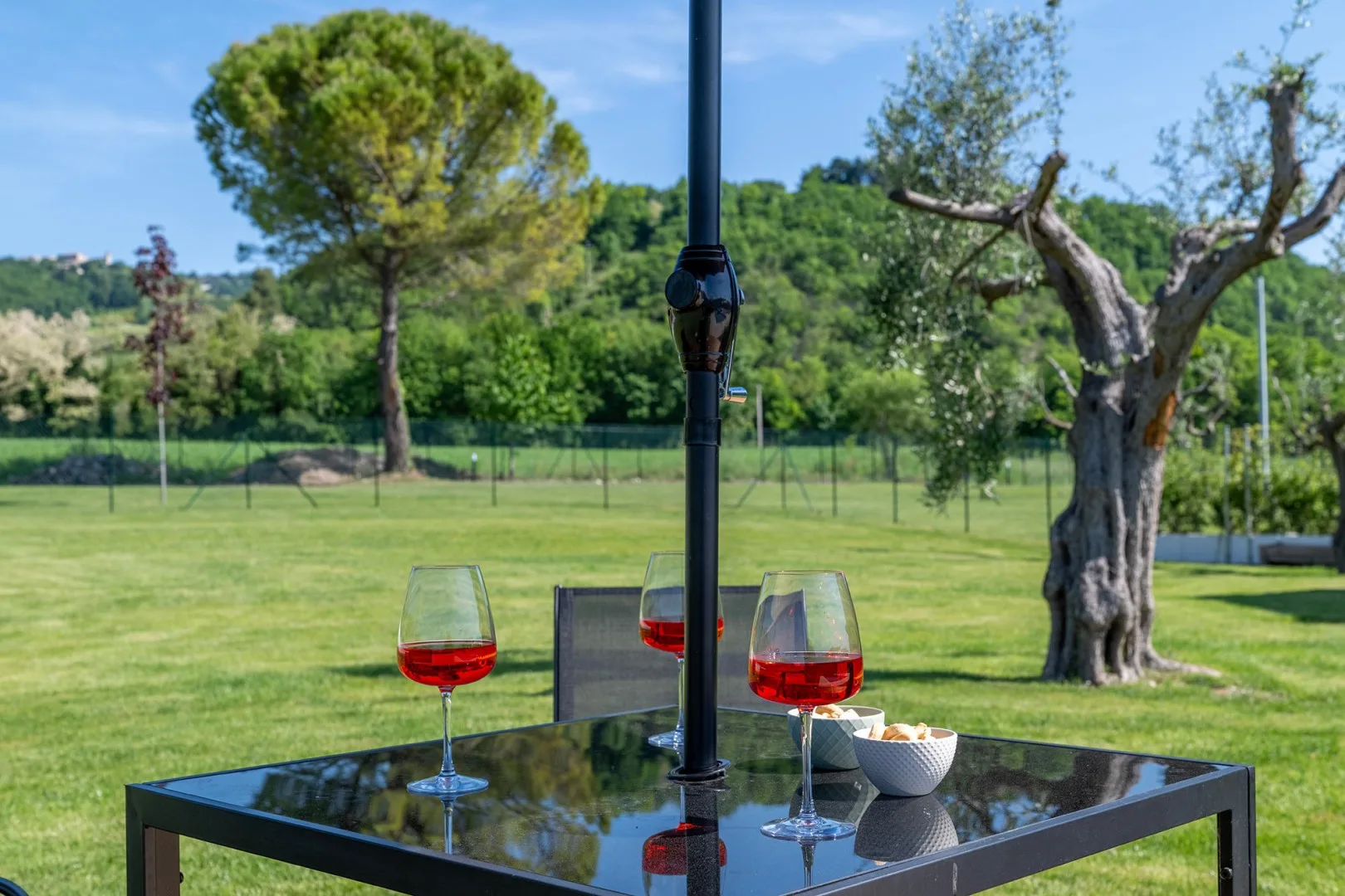 Una mesa negra al aire libre tiene dos copas de vino tinto junto a un cuenco, frente a un césped verde.