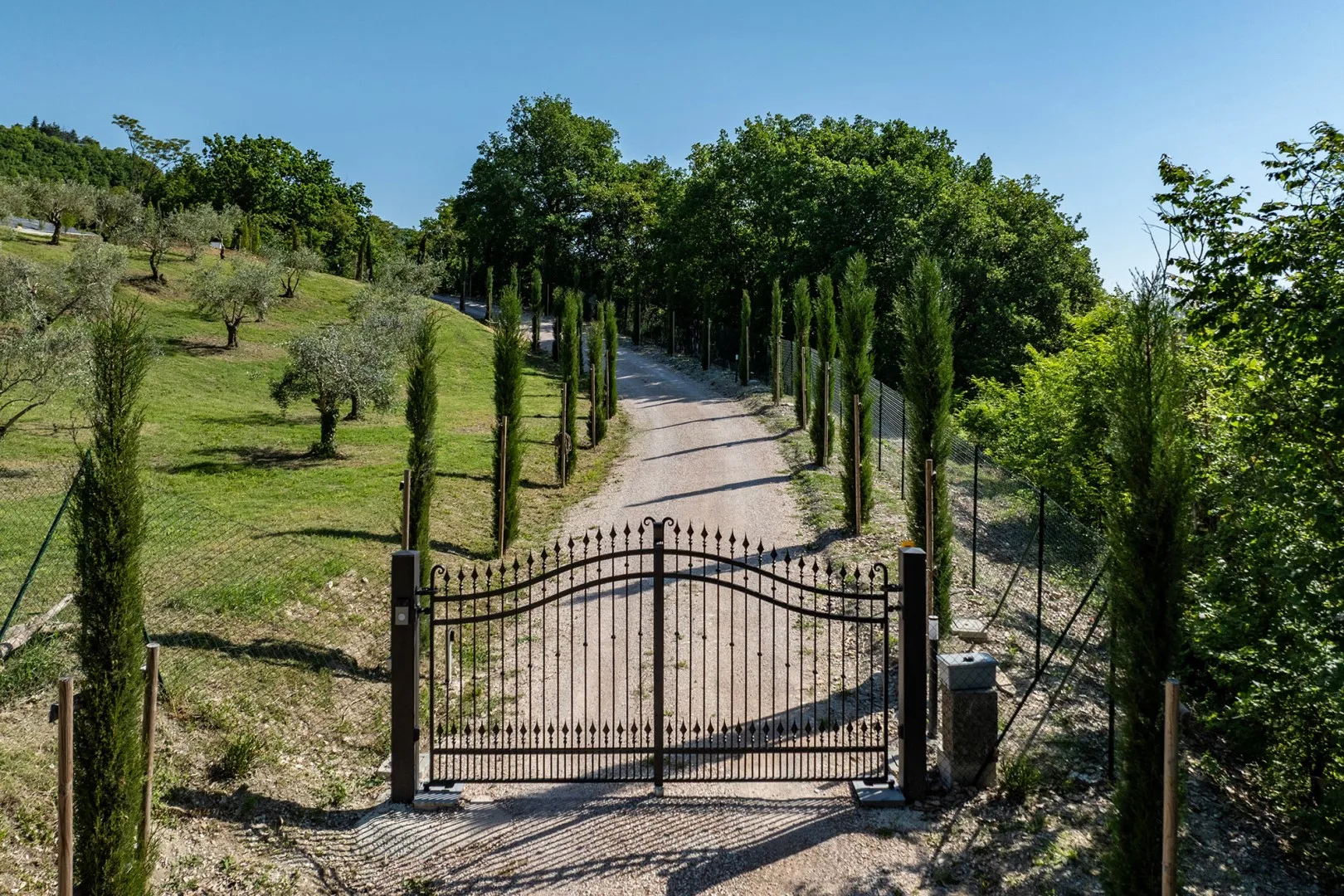 Una puerta metálica da a un camino de grava bordeado de árboles altos y terrenos cubiertos de hierba.