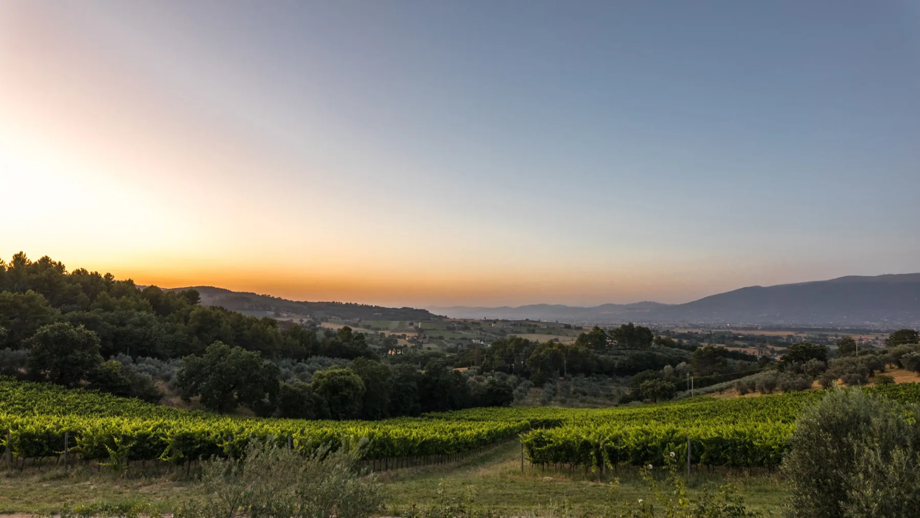 TENUTA BELLAFONTE 14 - Umbria