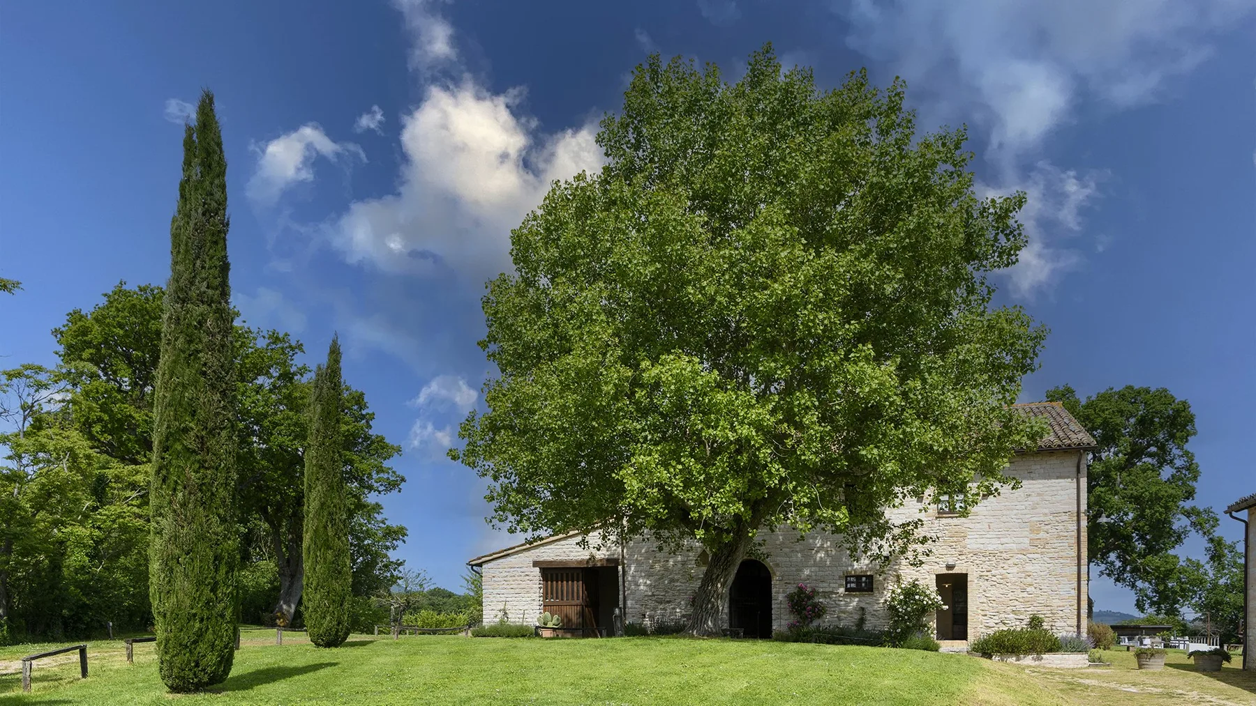 CHECELLO 6 - Marche