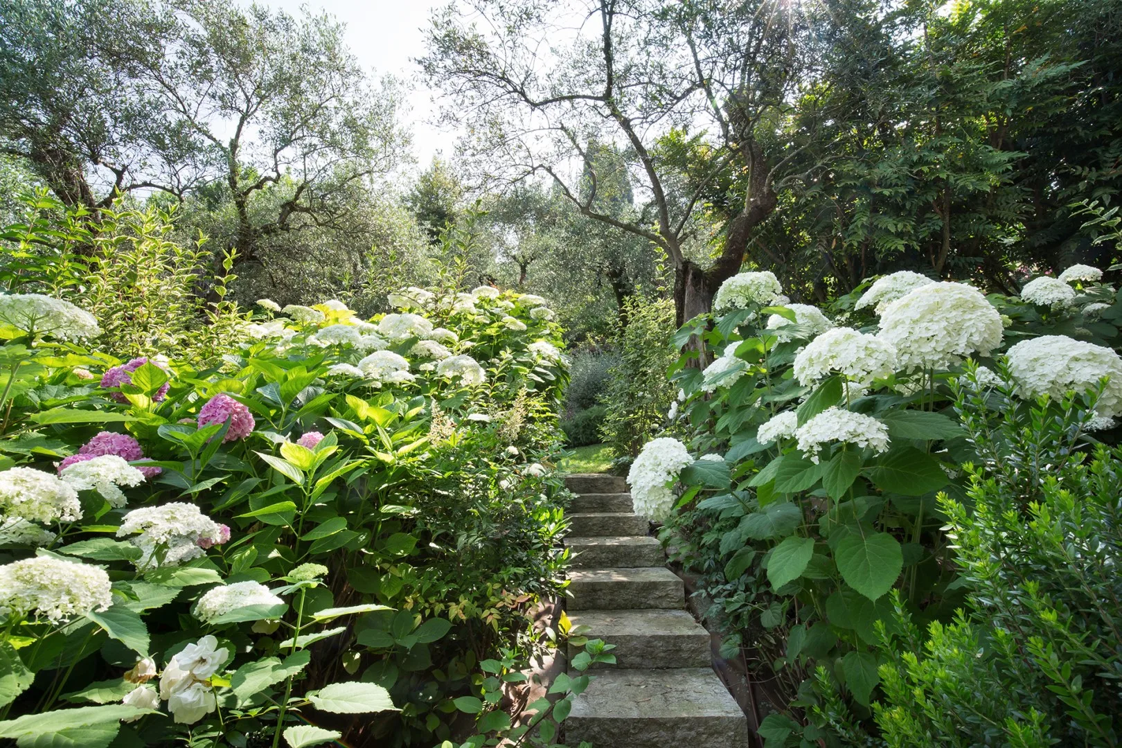 VILLA CLAUDIA 10+2 - Veneto