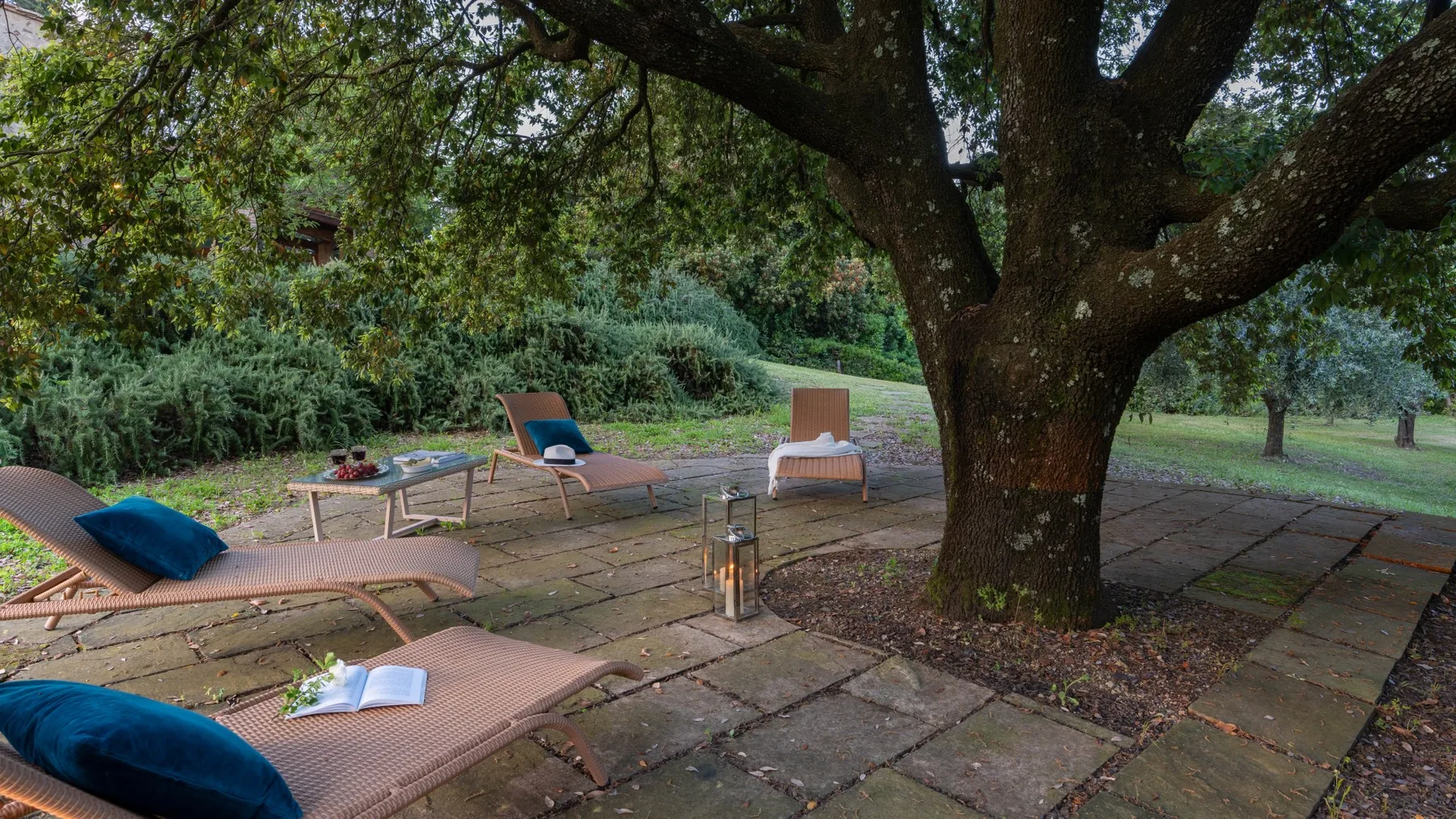 A shaded outdoor patio with loungers and a large tree.