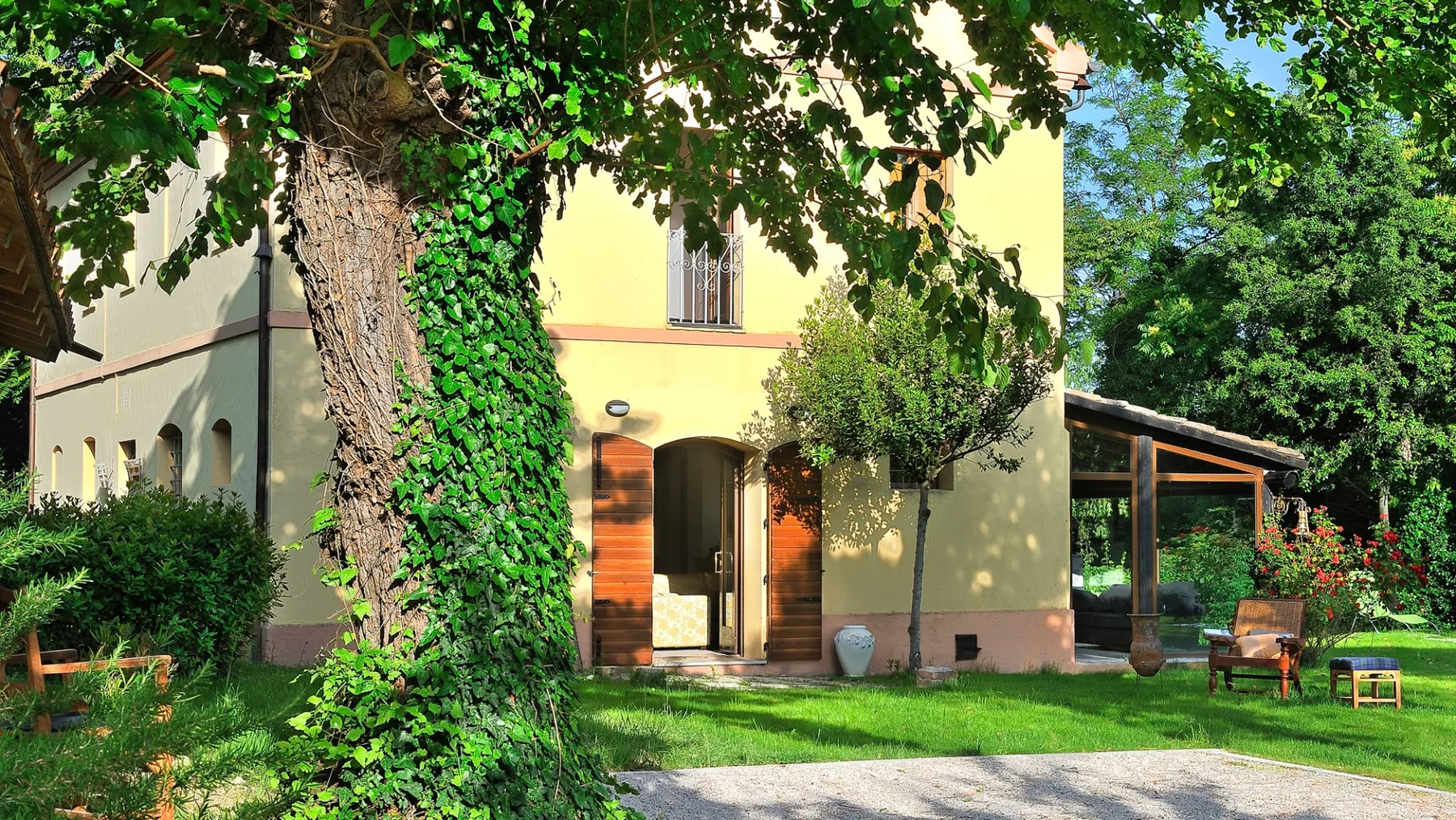 LUCE TRA I FAGGI 8 - Marche