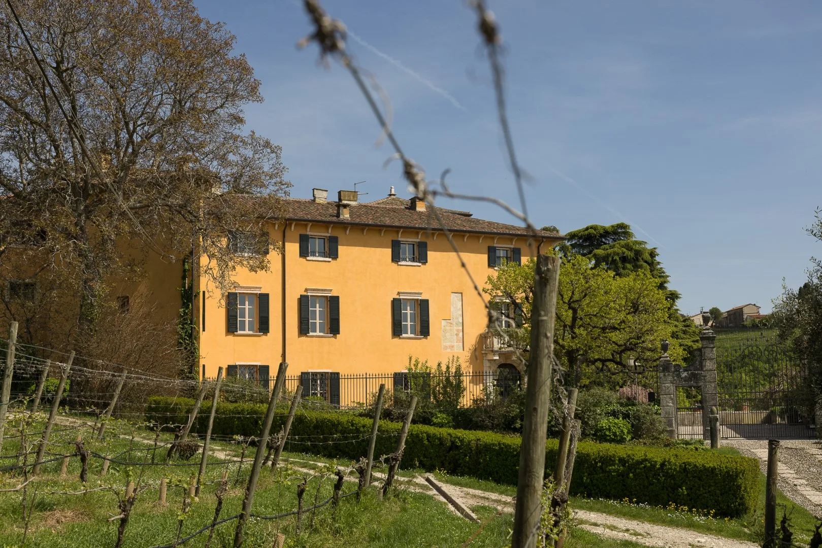 VILLA TORRE DI TERZOLAN 10 - Veneto