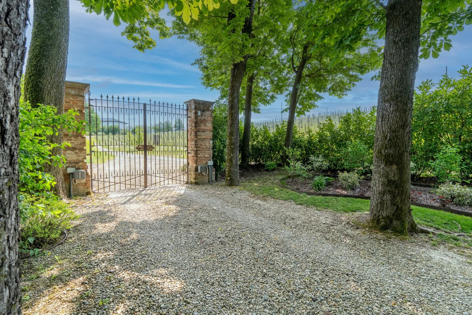 TENUTA SCHIAVON BARRERO 12 - Piedmont