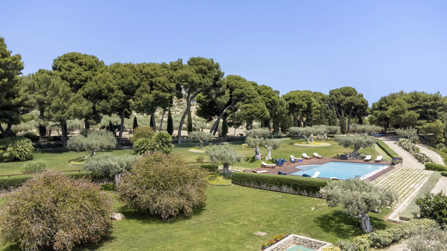 Un jardín cuidado con una piscina y hileras de árboles.