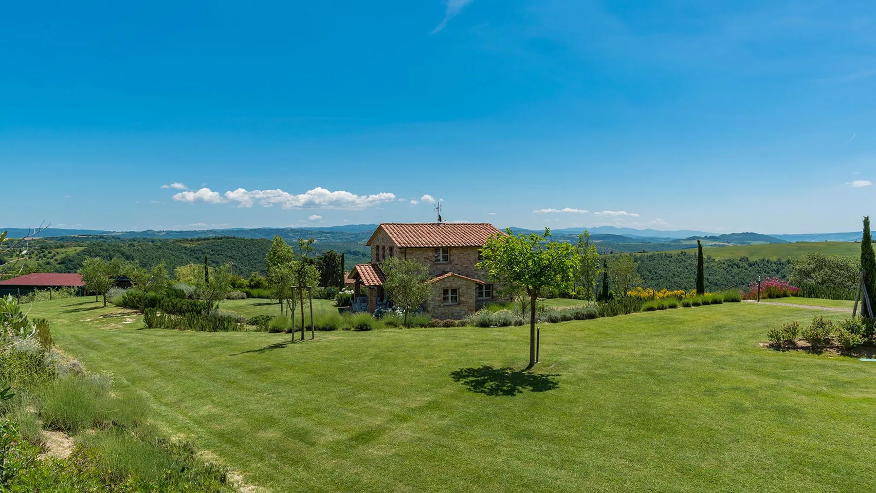 ROSA DEI VENTI 8 - Umbria