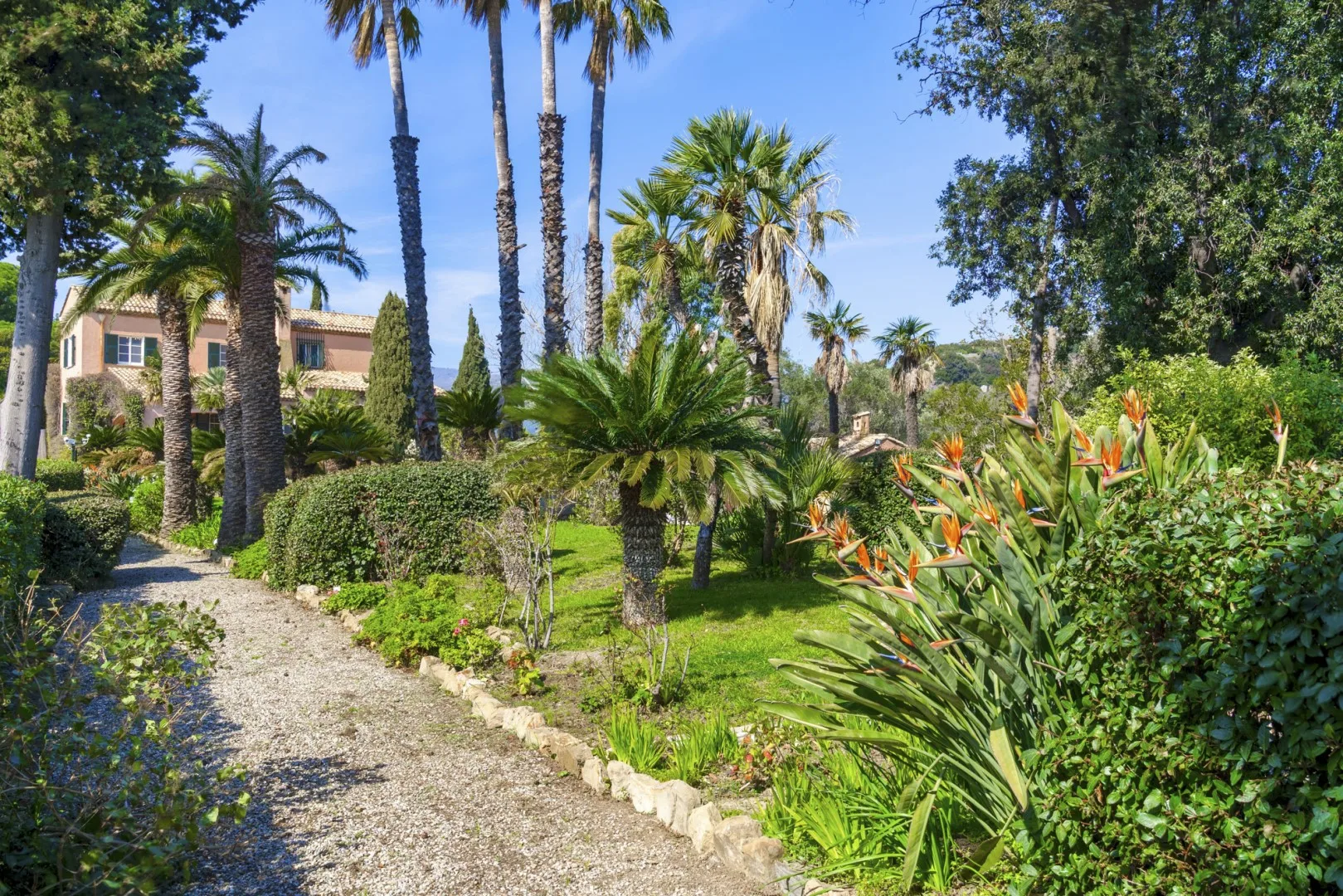 VILLA LA CICALIERA 10 - Liguria