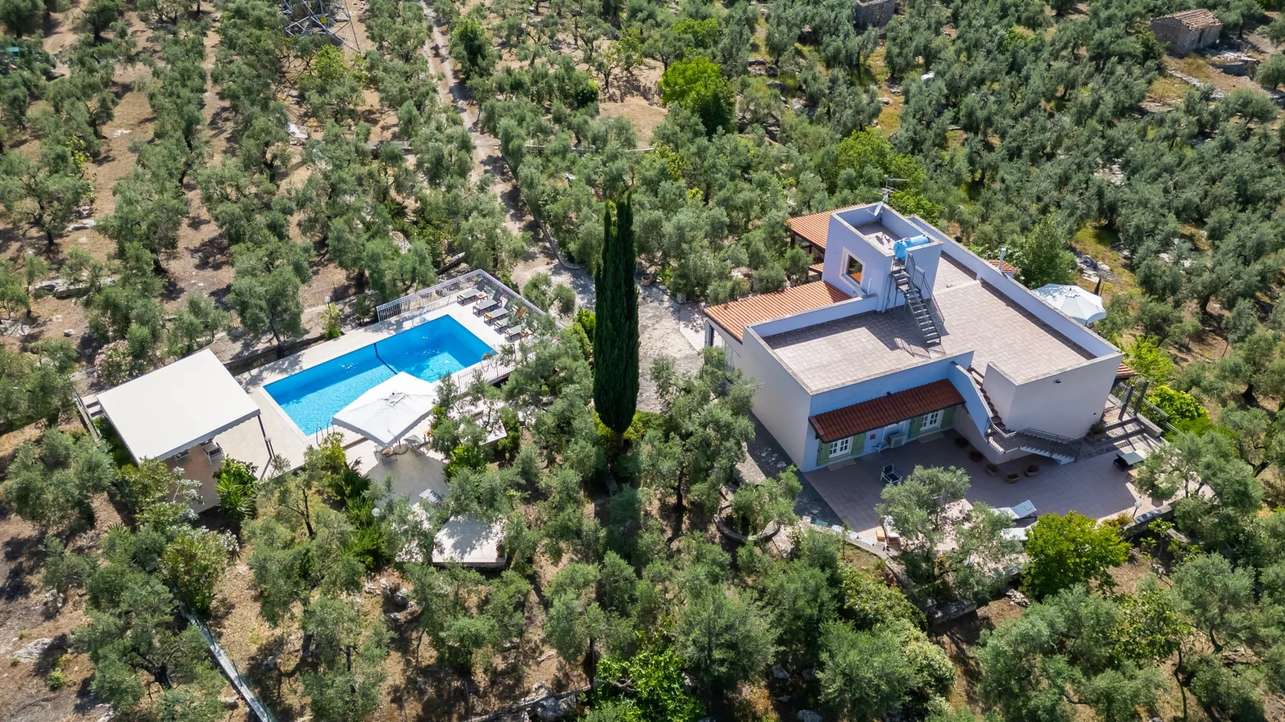 VILLA IPAZIA 6 - Lazio