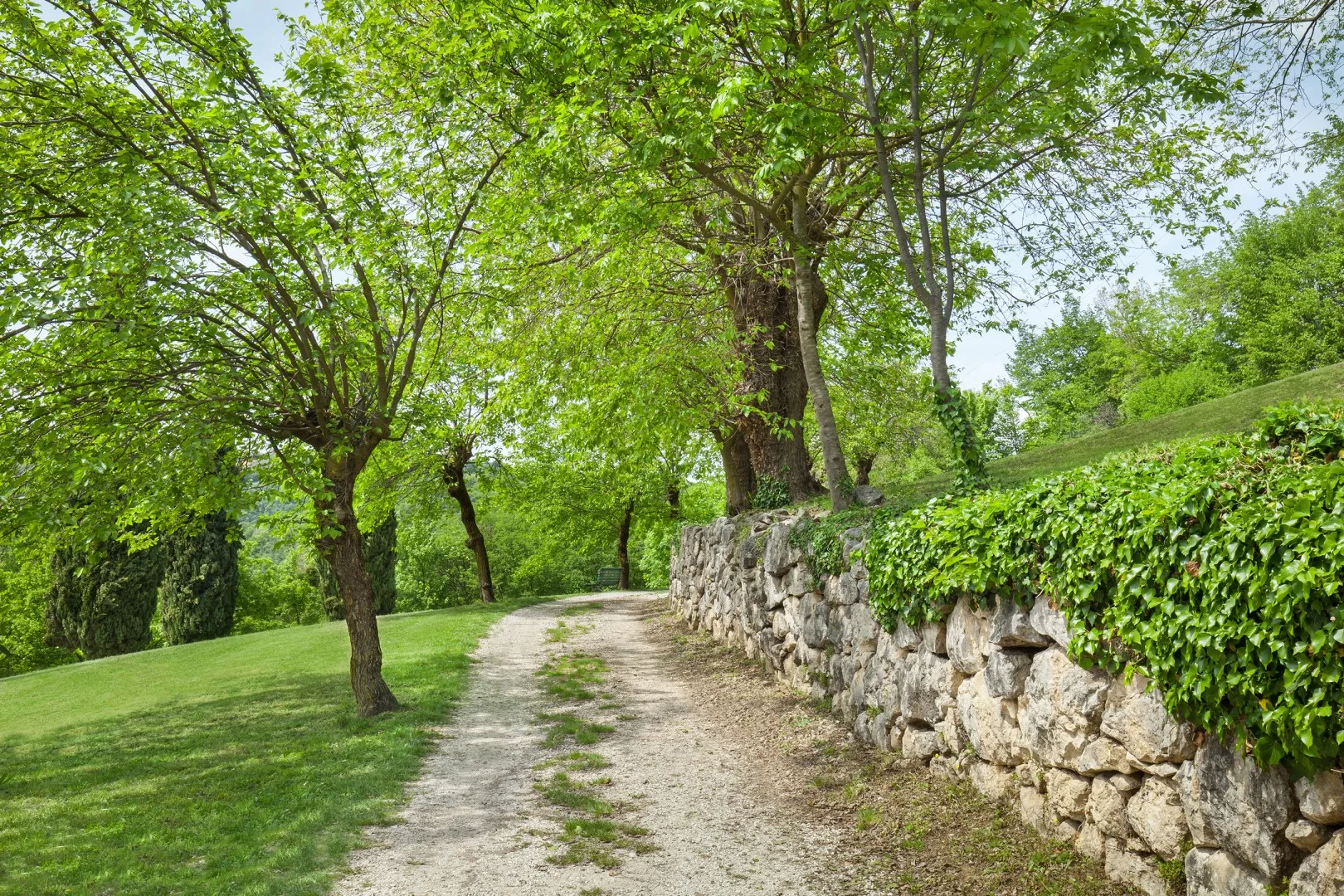 IL GIARDINO DI SIBILLA 16 - Veneto