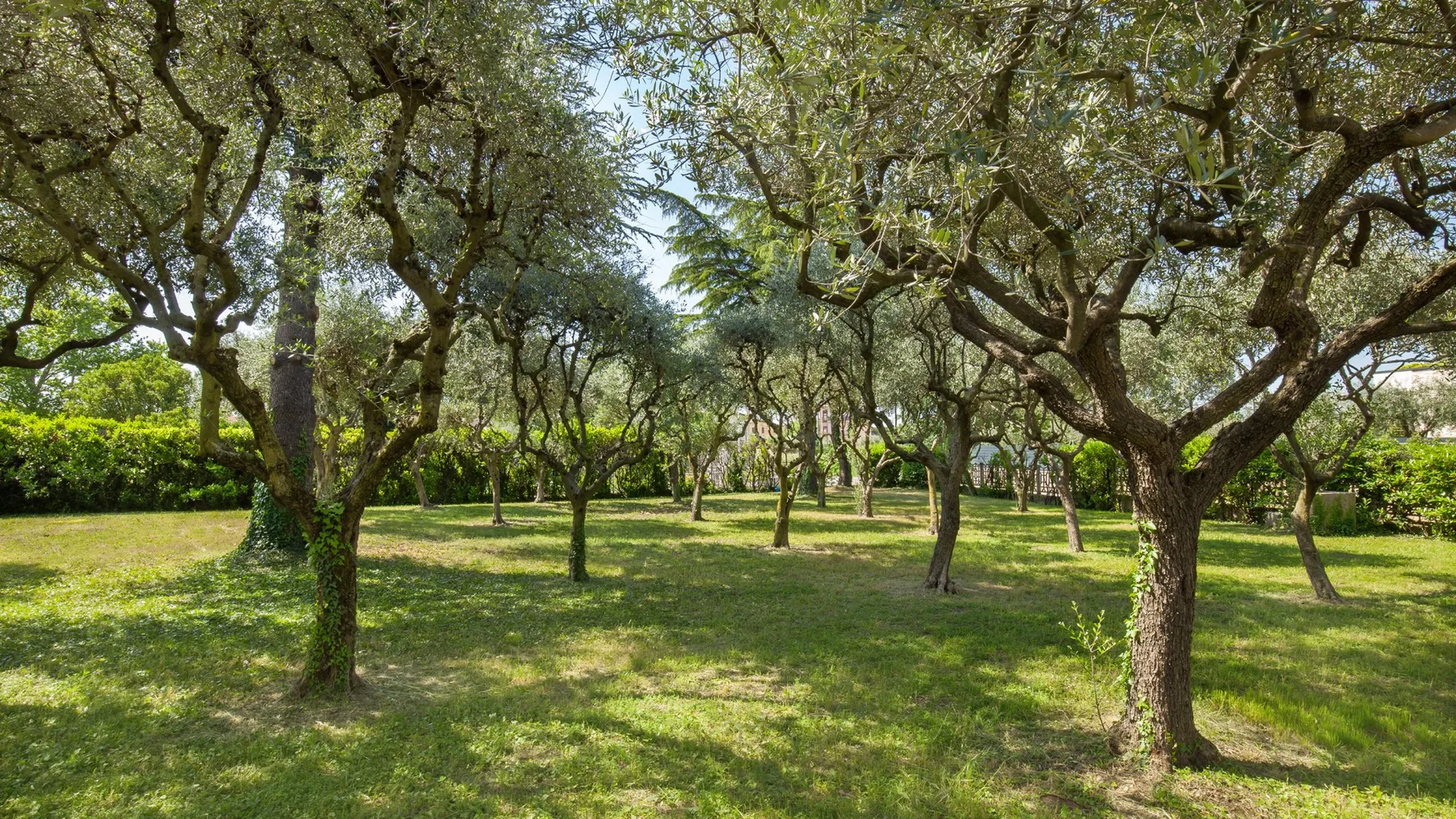 VILLA DELLE COSTE 6 - Veneto