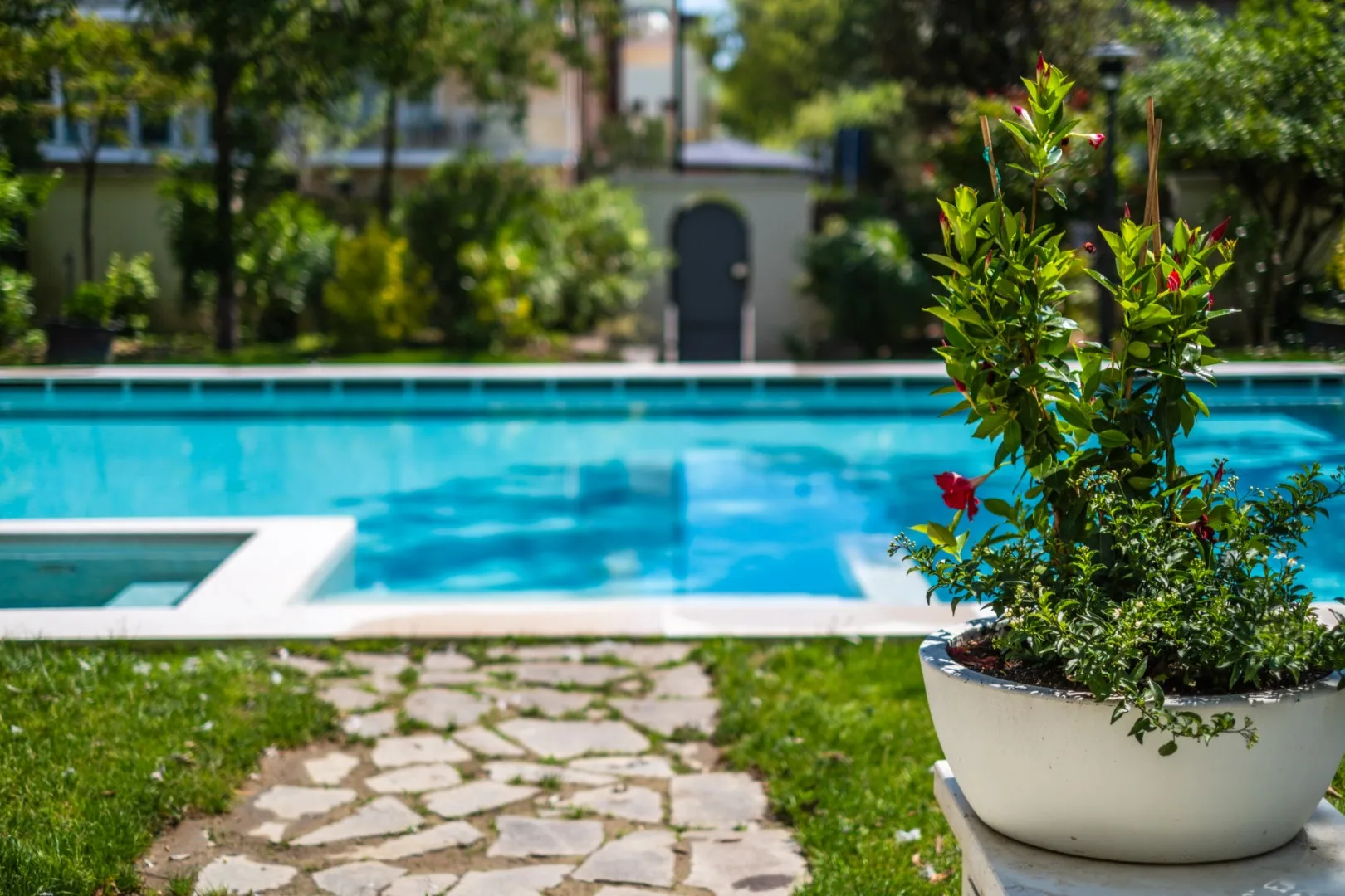 Una piscina junto a un sendero de piedra y una planta con flores en una maceta.