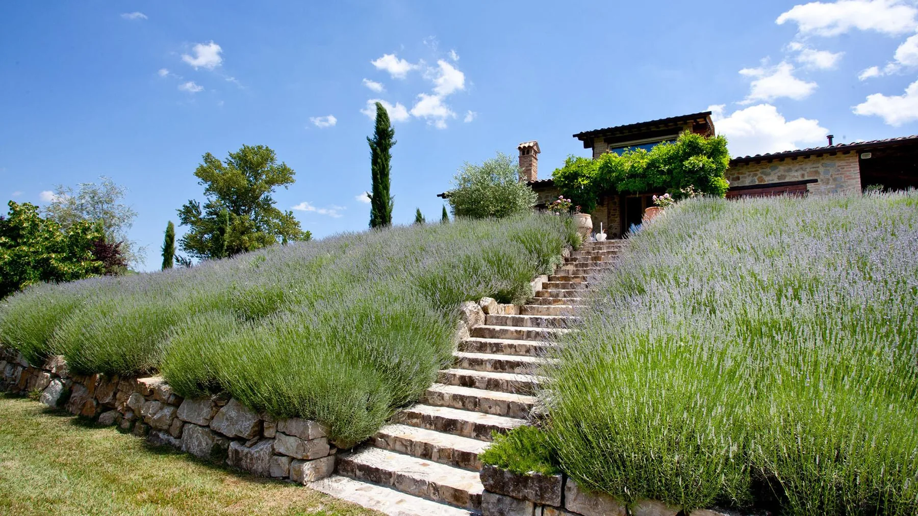 CASALE DELLE LAVANDE 10 - Umbria