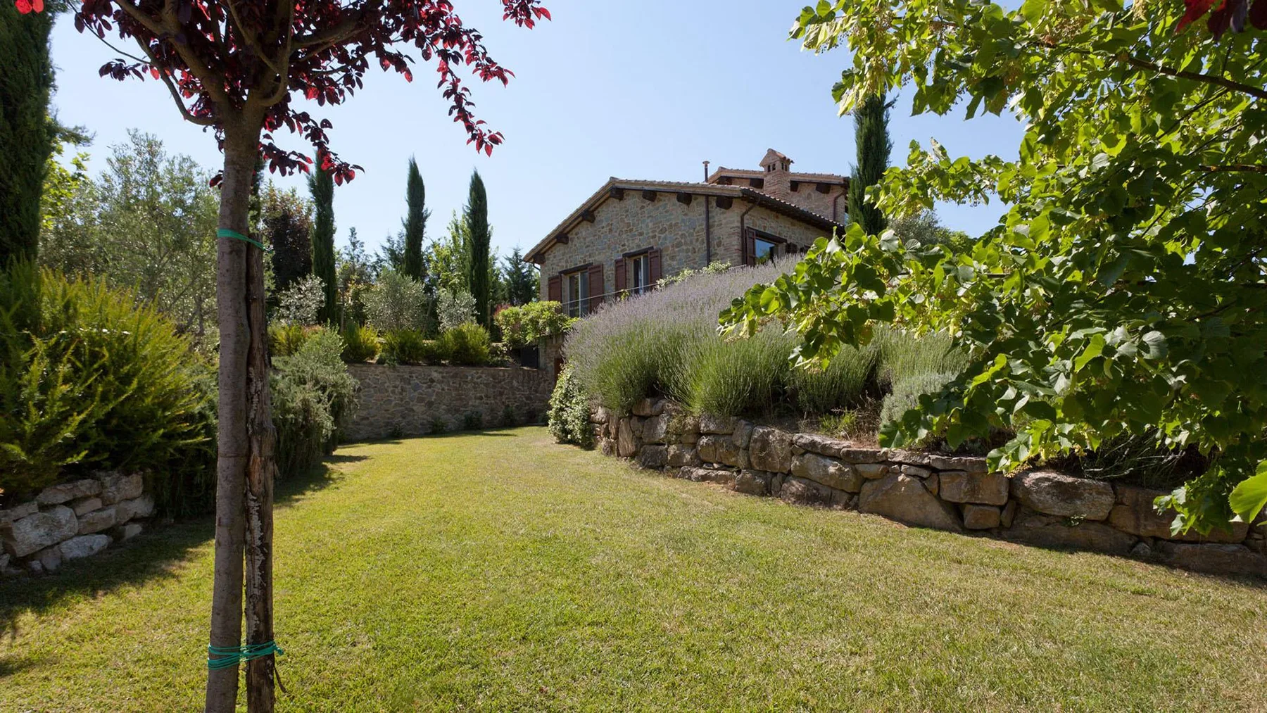 CASALE DELLE LAVANDE 10 - Umbria