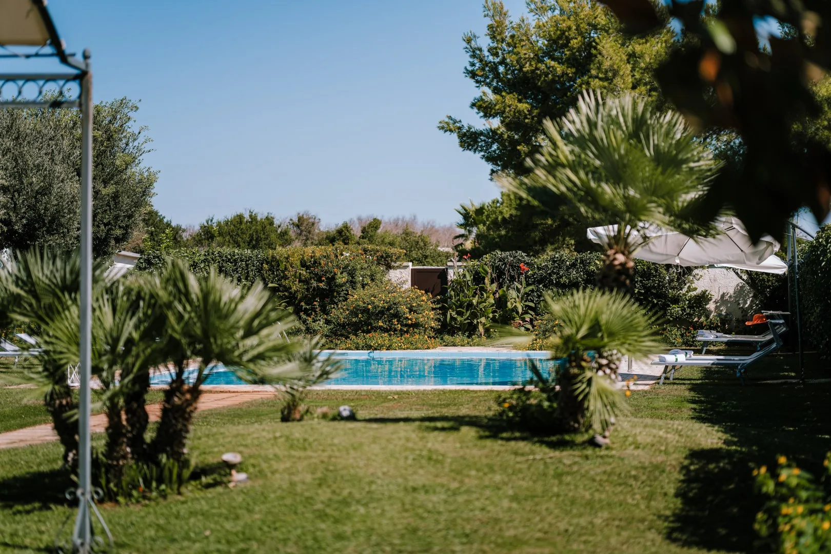 A garden surrounds a swimming pool, with trees and shrubs along the lawn.