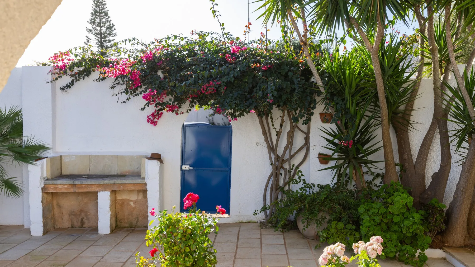 VILLA DEL LENTISCO 8+2 - Puglia