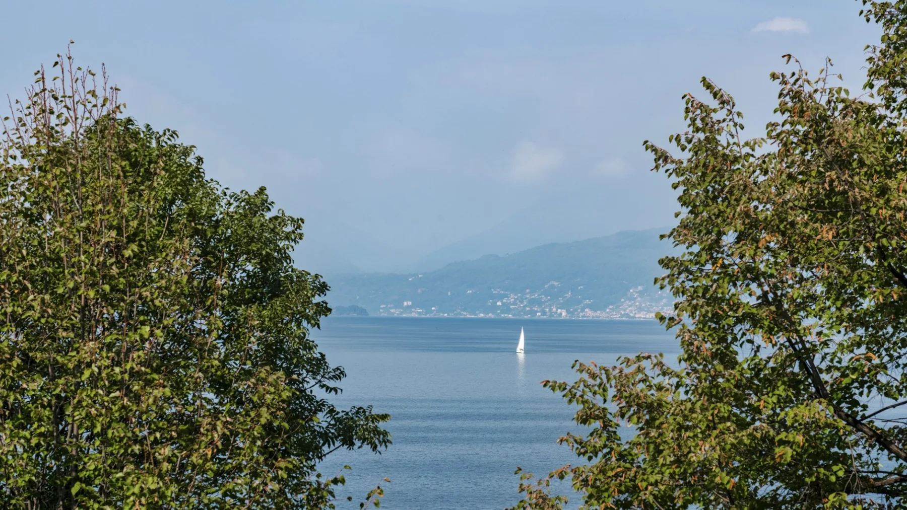 A calm lake view framed by leafy trees, with a sailboat on the water.