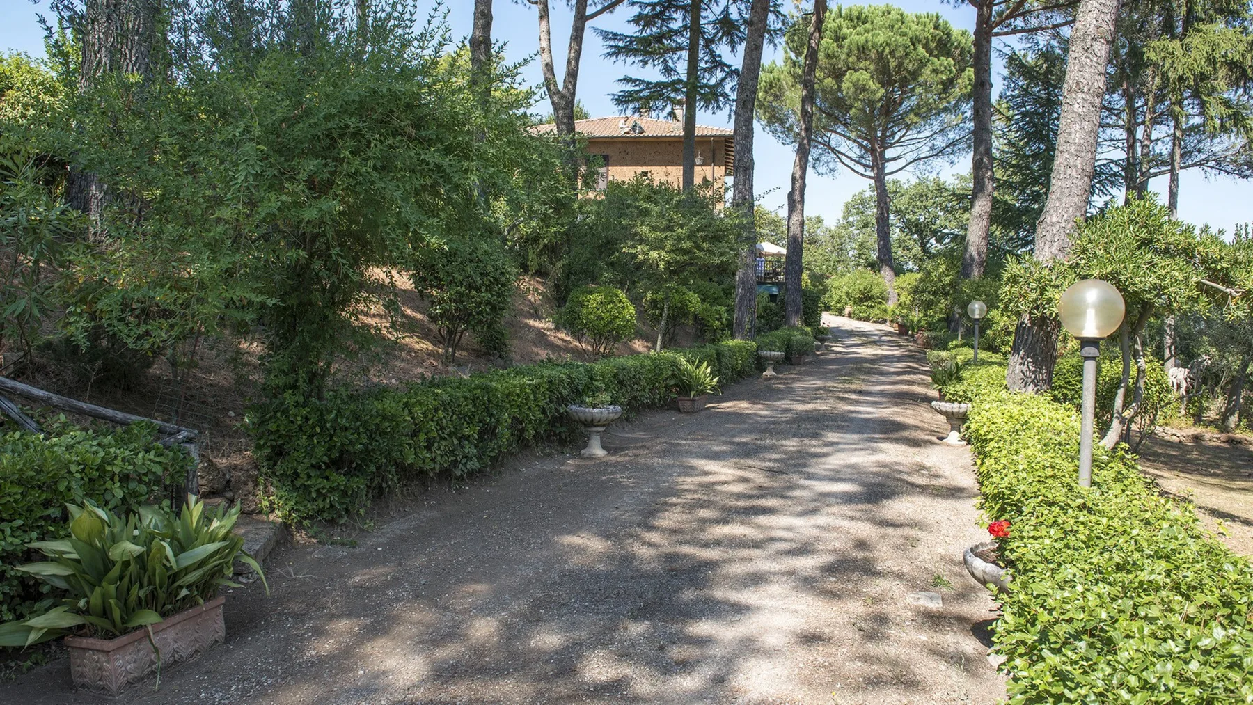 Un sendero pavimentado serpentea entre setos recortados, macetas con flores y árboles altos.