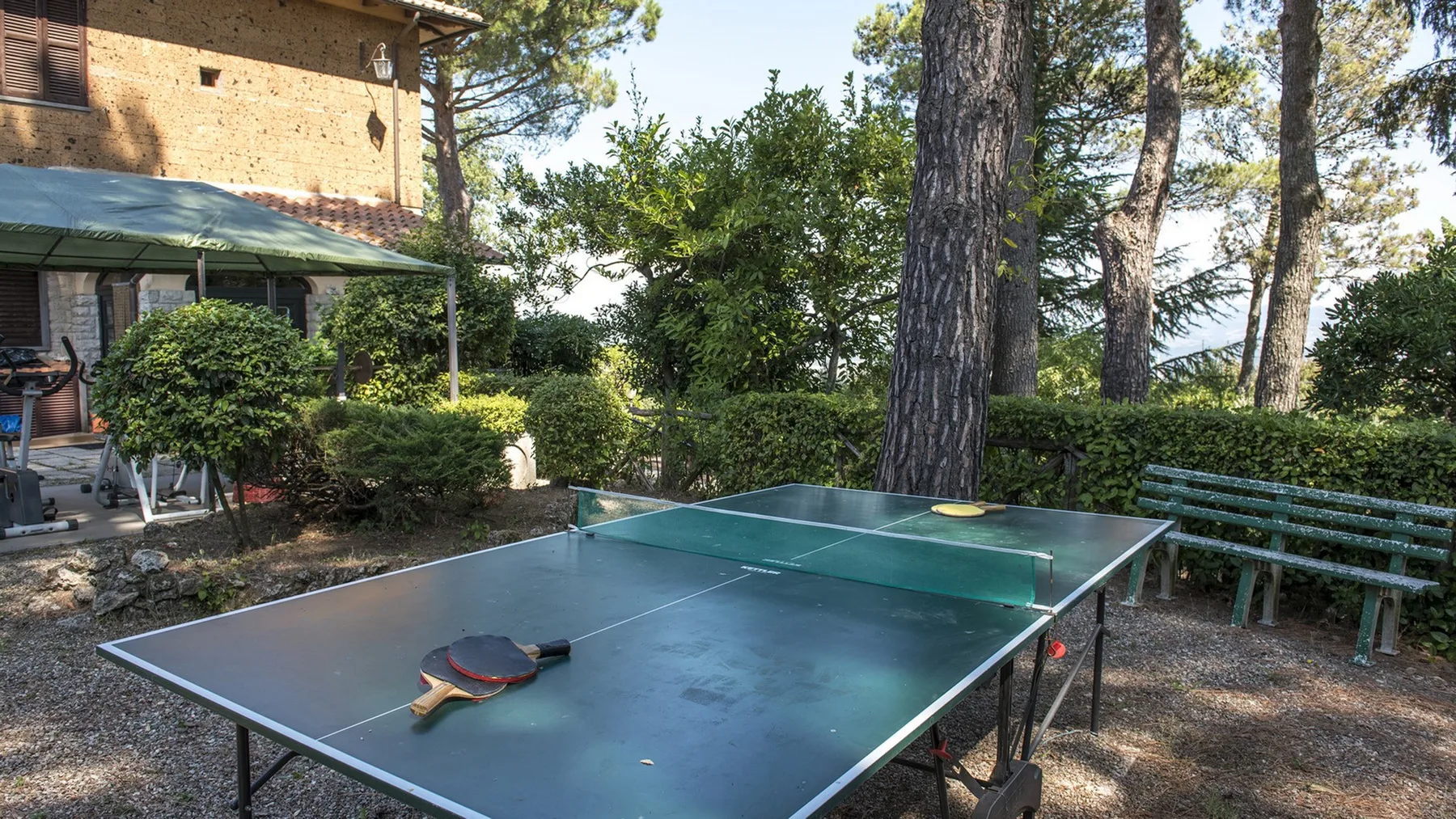 Una mesa de ping-pong con palas está al aire libre, junto a bancos, arbustos y un edificio de ladrillo.