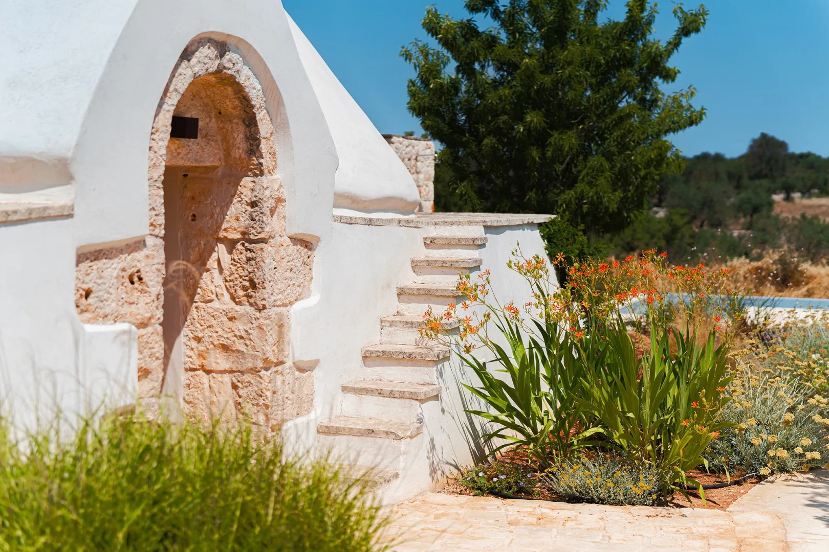 TRULLI FIORI DI MANDORLO 6 - Puglia
