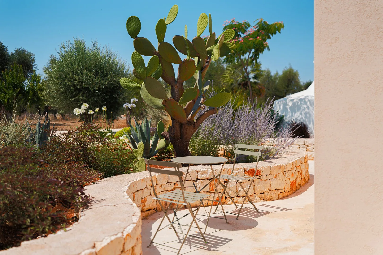 TRULLI FIORI DI MANDORLO 6 - Puglia