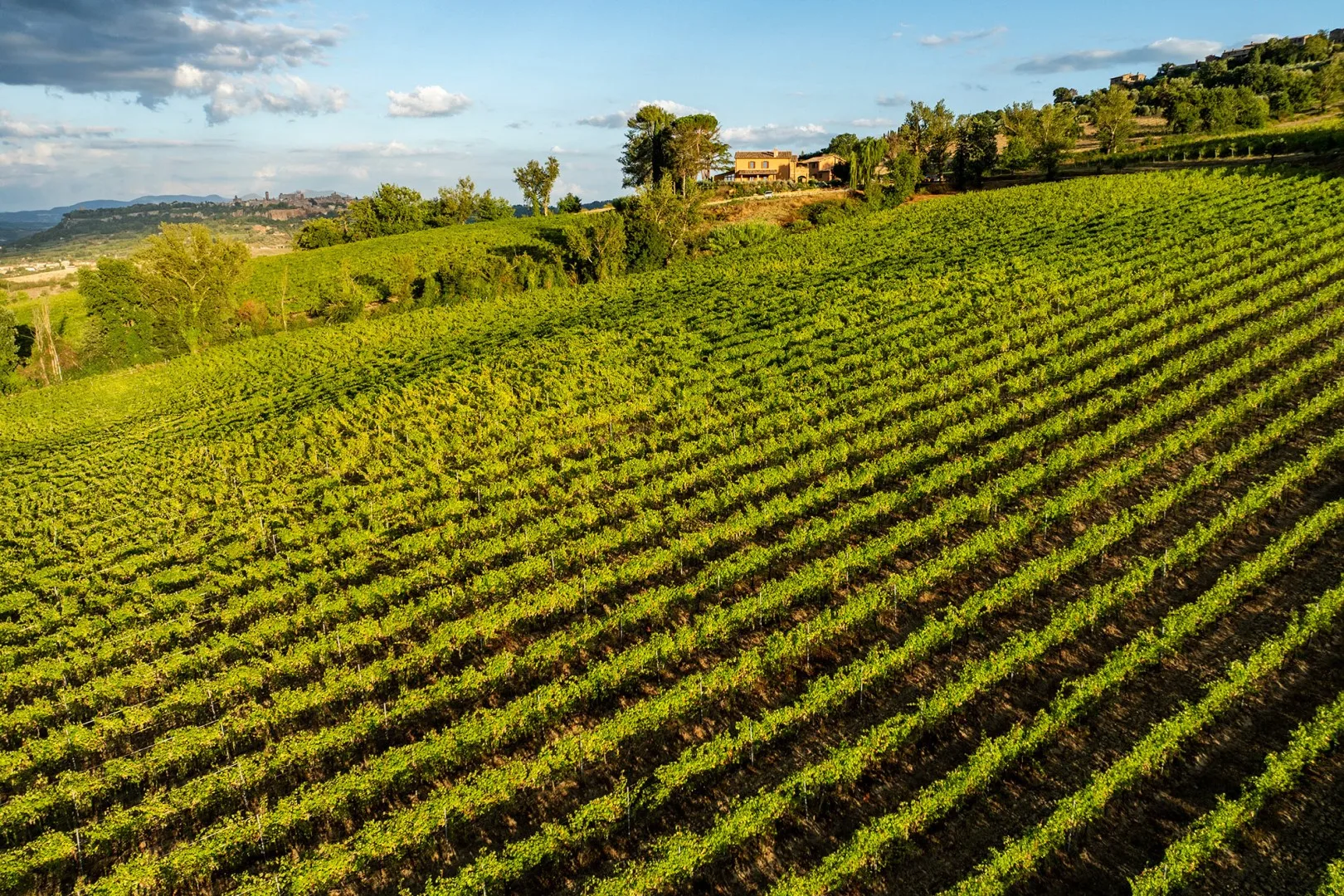 POGGIO AMBRATO 13 - Umbria