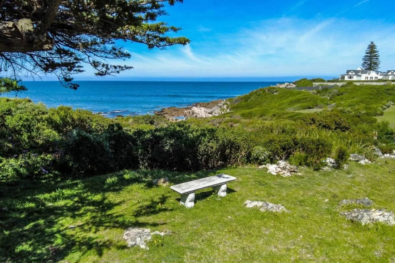 Coastal landscape with a grassy picnic area, stone bench, shrubs, and ocean views.