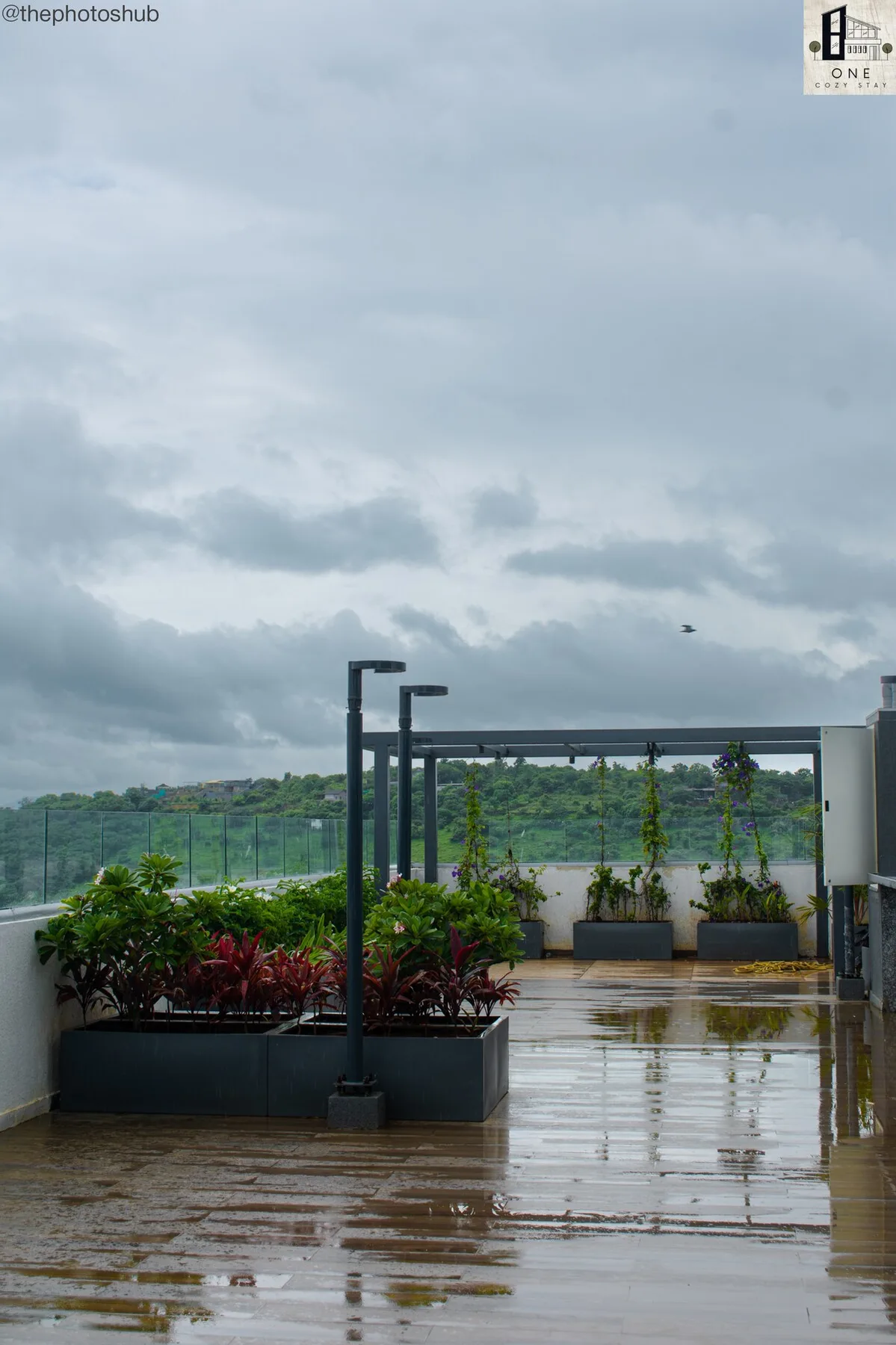 Zona común: Una terraza en la azotea con jardineras y una cubierta de madera mojada.