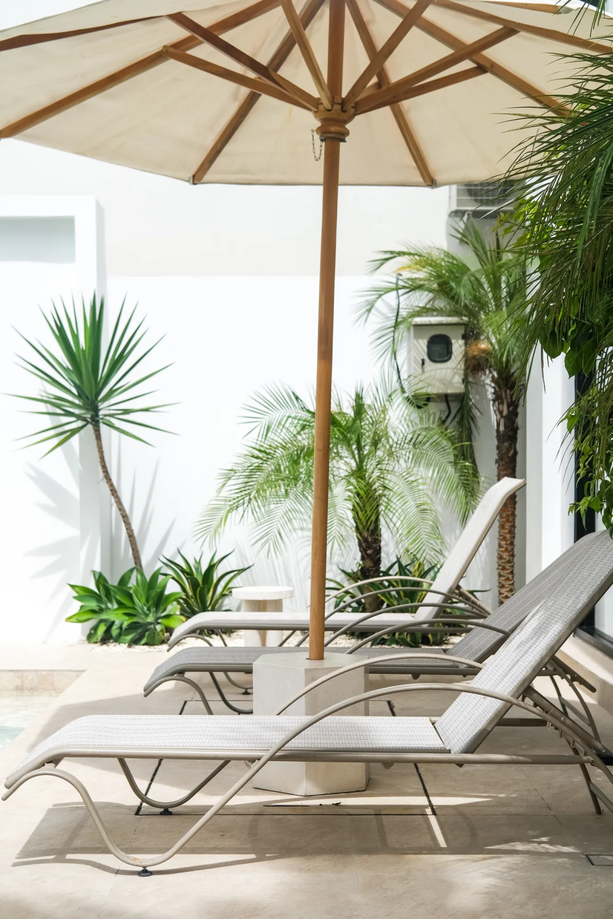 Limón & Cello Villa