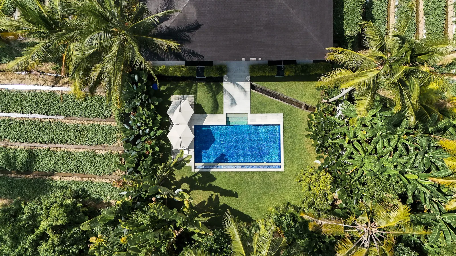 Villa K Ubud